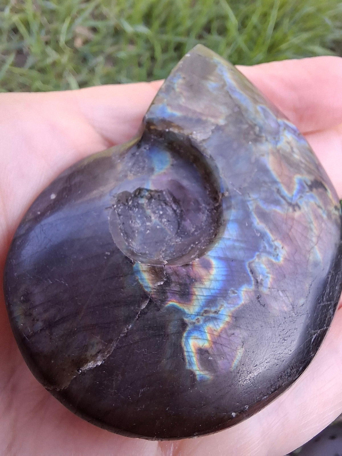 Labradorite Ammonite Carving, 89.31g, Crystal (Ref: laba6)