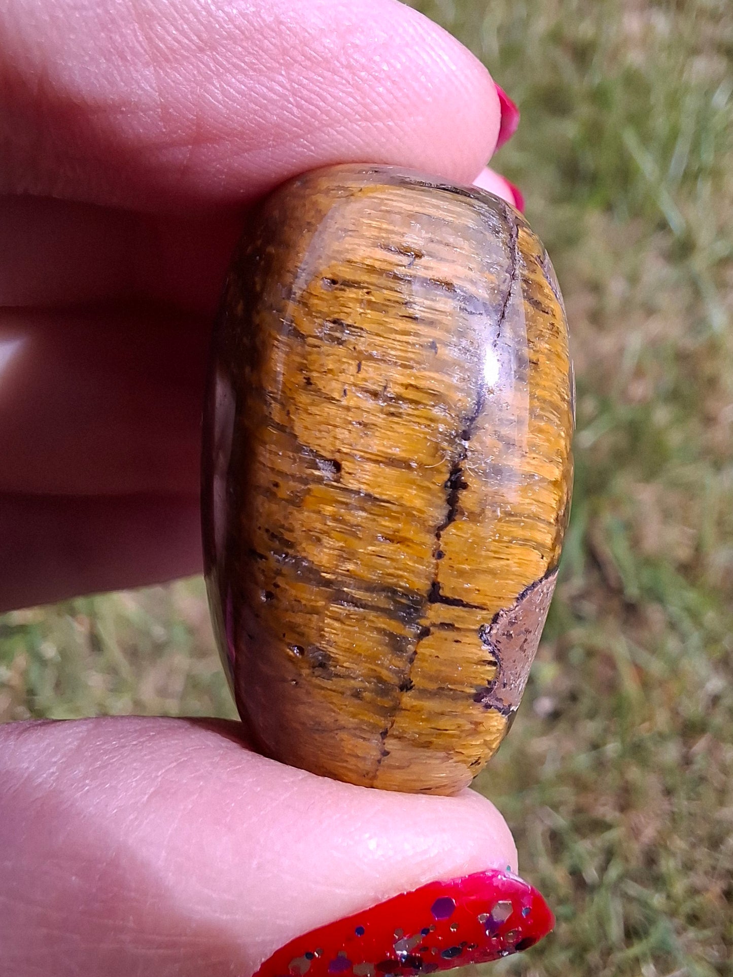 Tigers Eye, Tumble Stone, Crystal (Ref: T129)