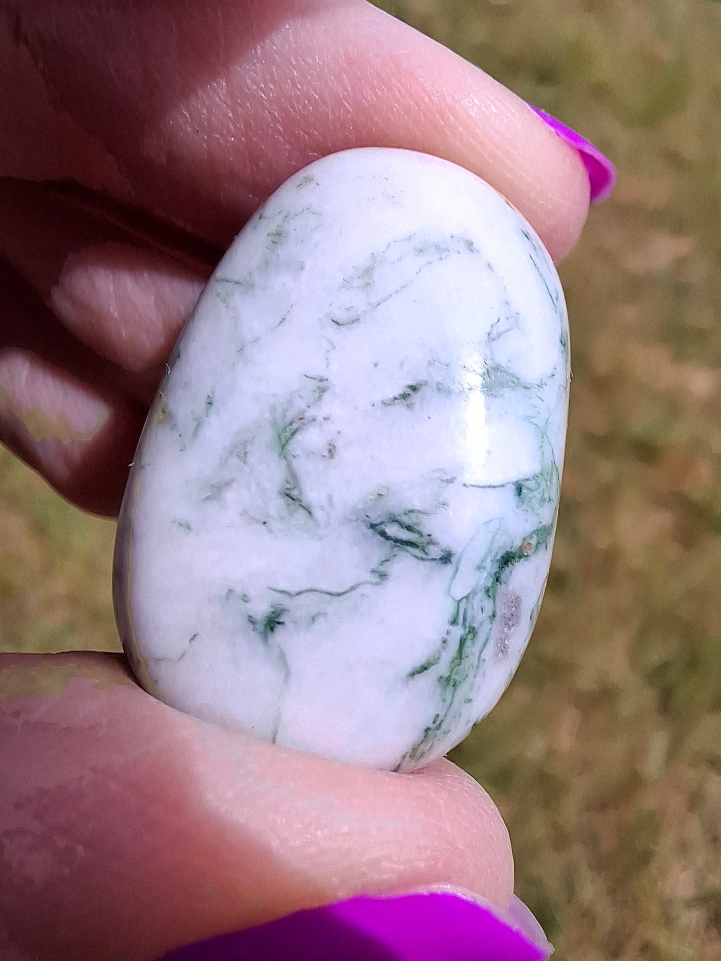 Tree Agate, Tumble Stone, Crystal (Ref: T3)