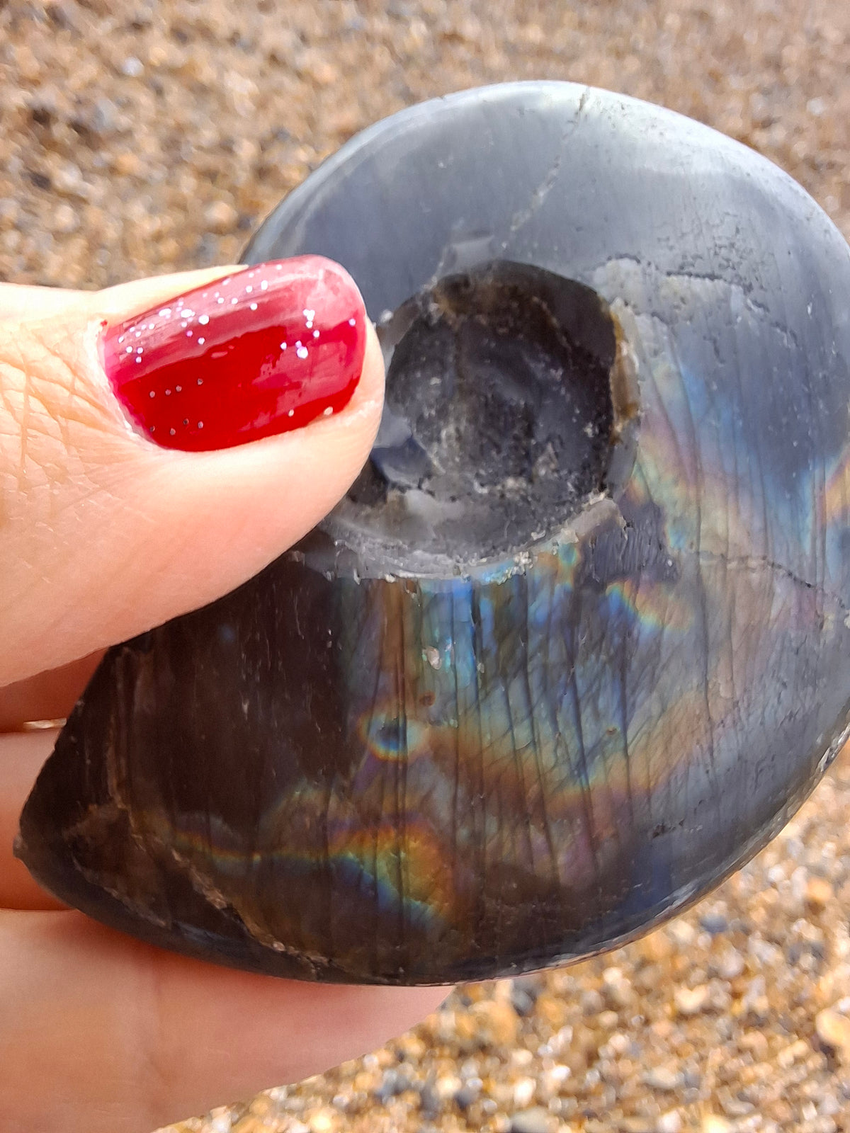 Labradorite Ammonite Carving, 89.31g, Crystal (Ref: laba6)