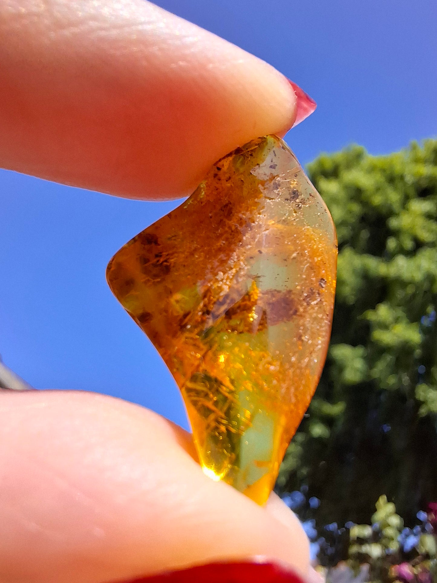 Baltic Amber, 1.25g, Fossil (Ref: A188)