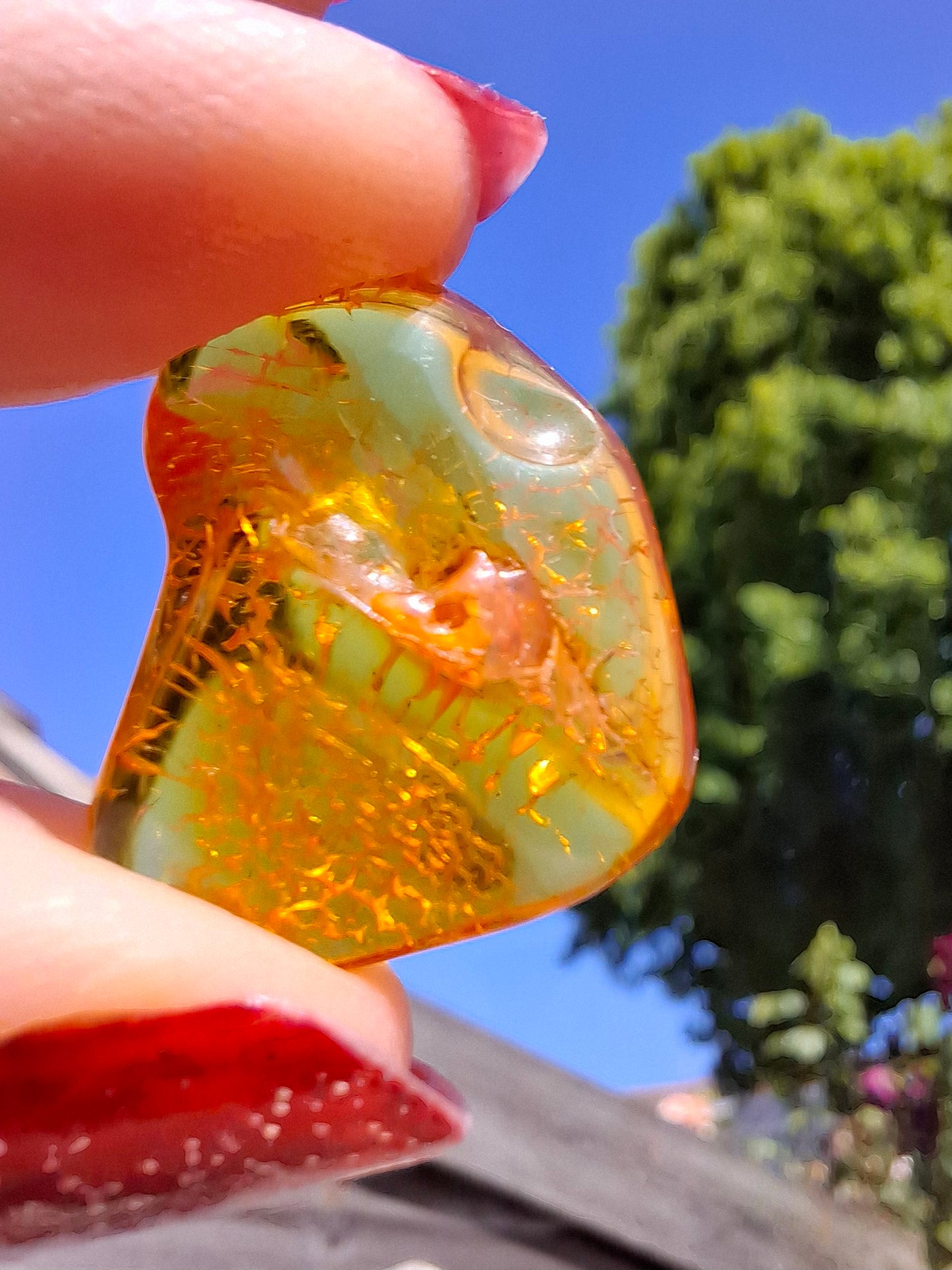 Baltic Amber, 1.07g, Fossil (Ref: A98)