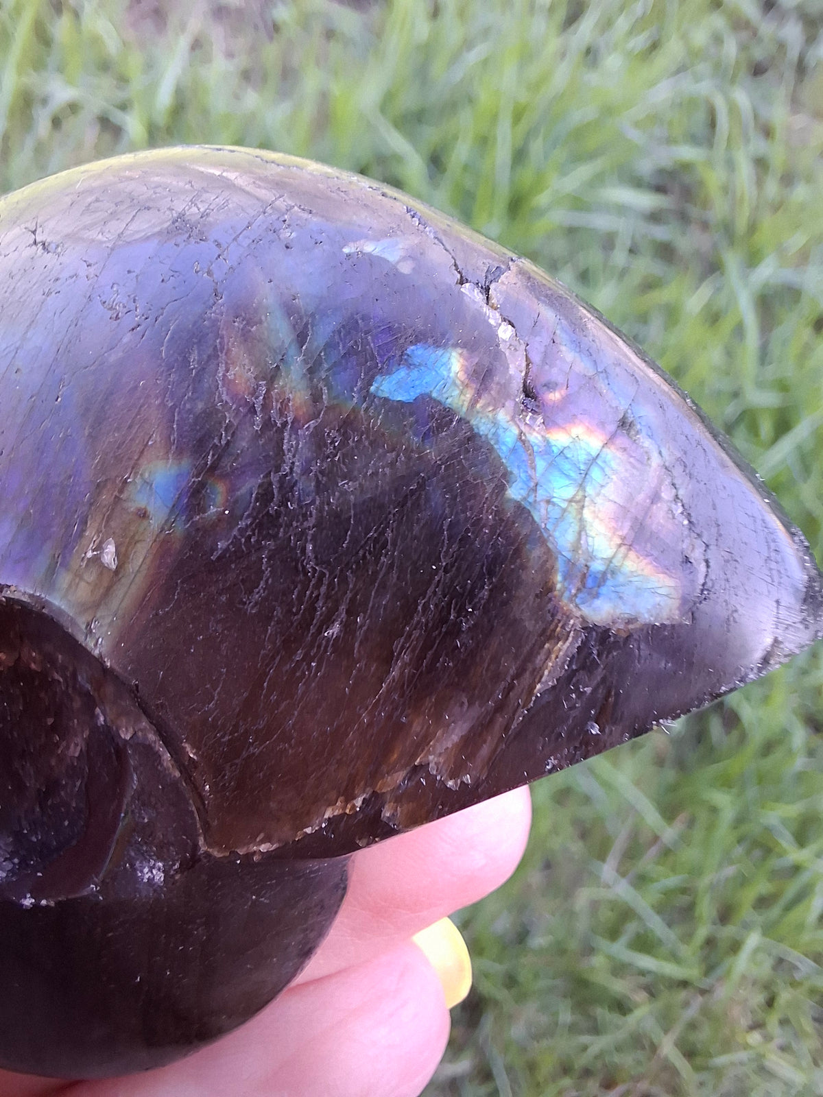 Labradorite Ammonite Carving, 89.31g, Crystal (Ref: laba6)