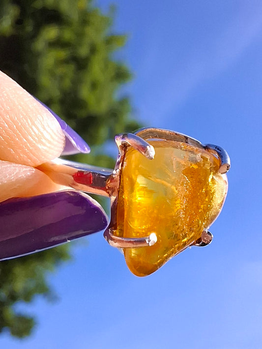 Baltic Amber Ring, size large M, 925 Silver, Fossil (Ref: AR6)