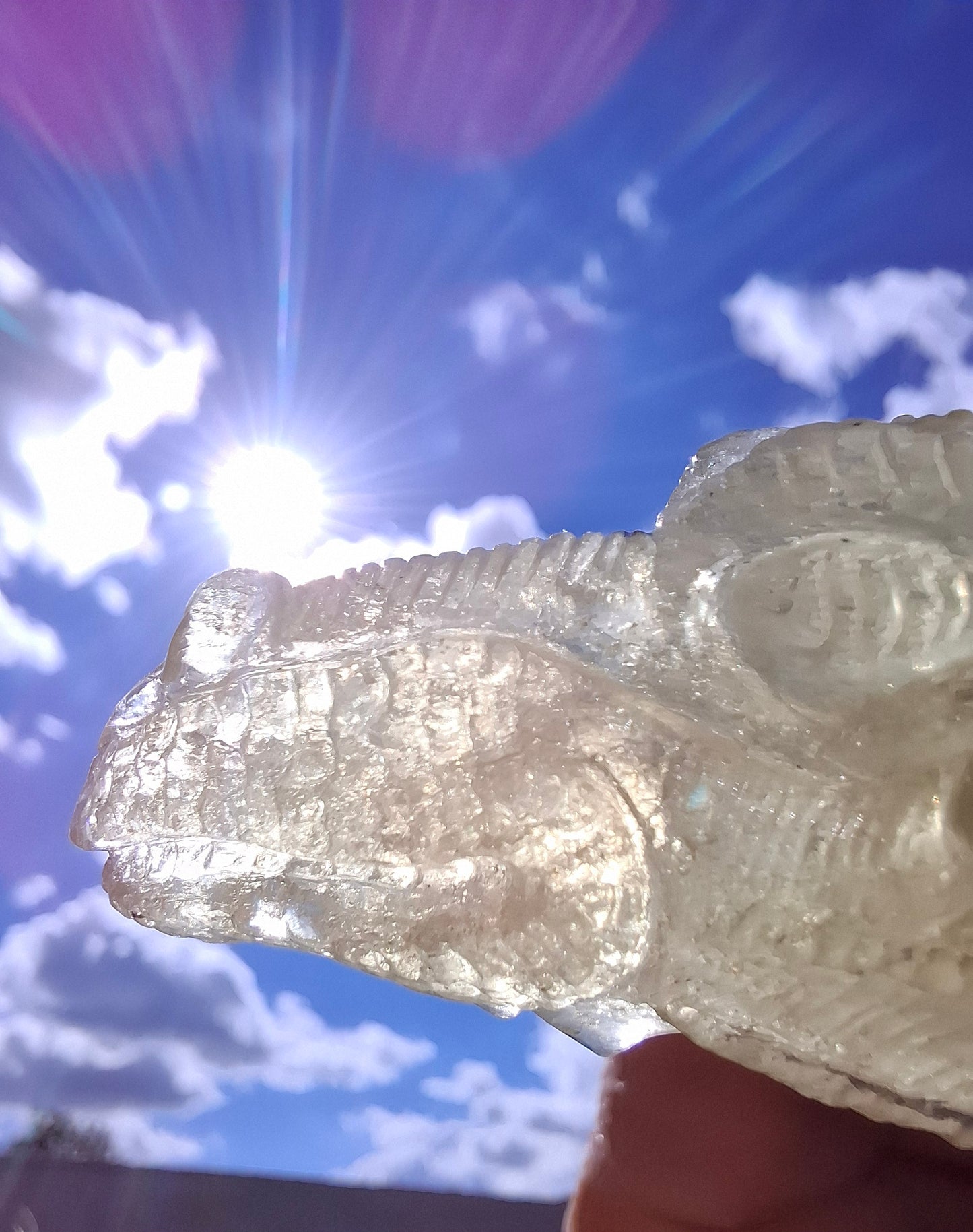 Libyan Desert Glass DRAGON HEAD carving, 48.11g, Tektite (Ref: Dragon4)
