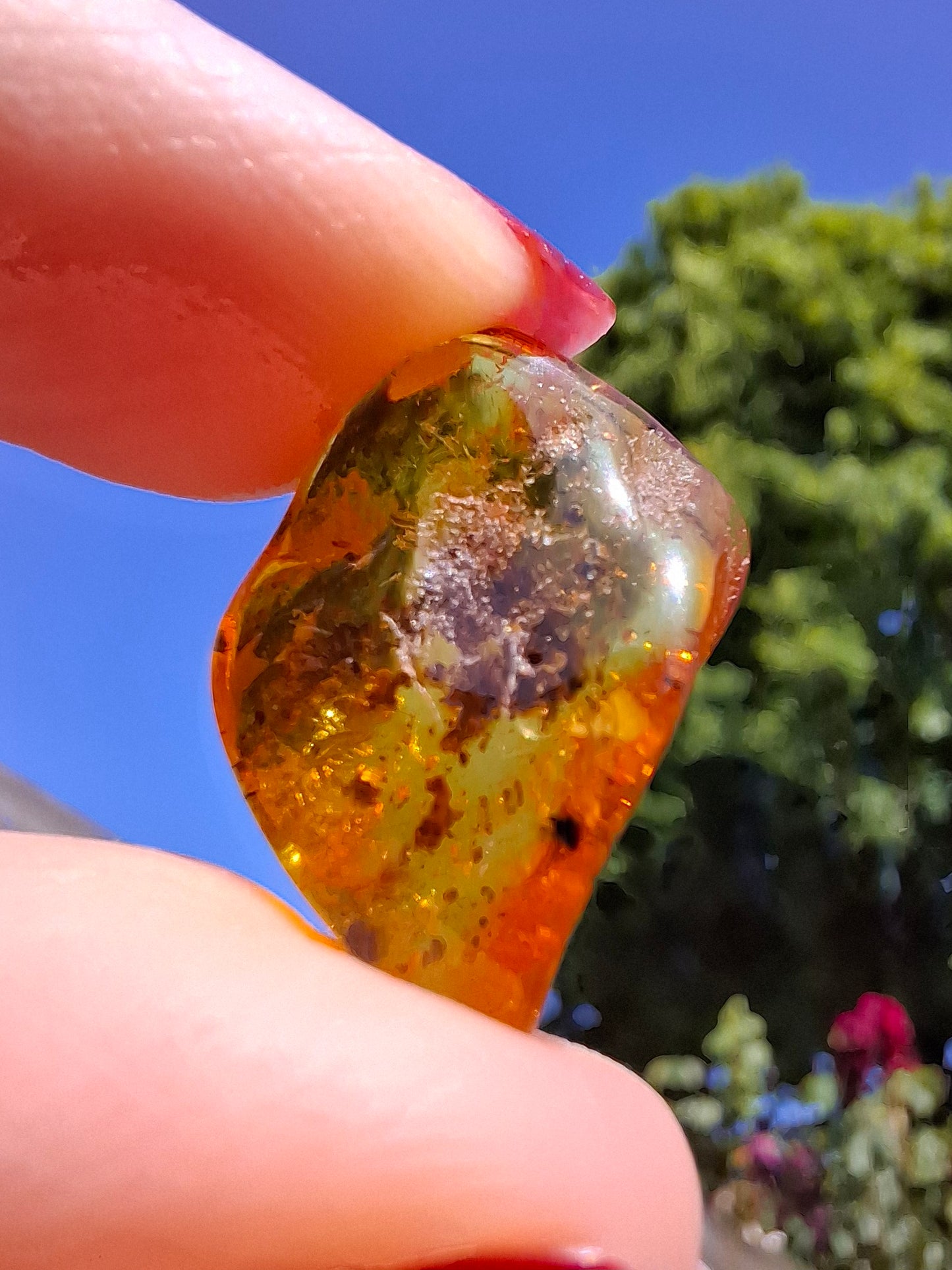 Baltic Amber, 1.13g, Fossil (Ref: A241)