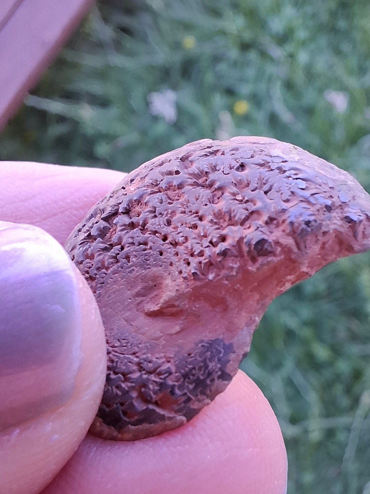 Small Haematite Ammonite HALF, 2.55g, Fossil (Ref: MA8)