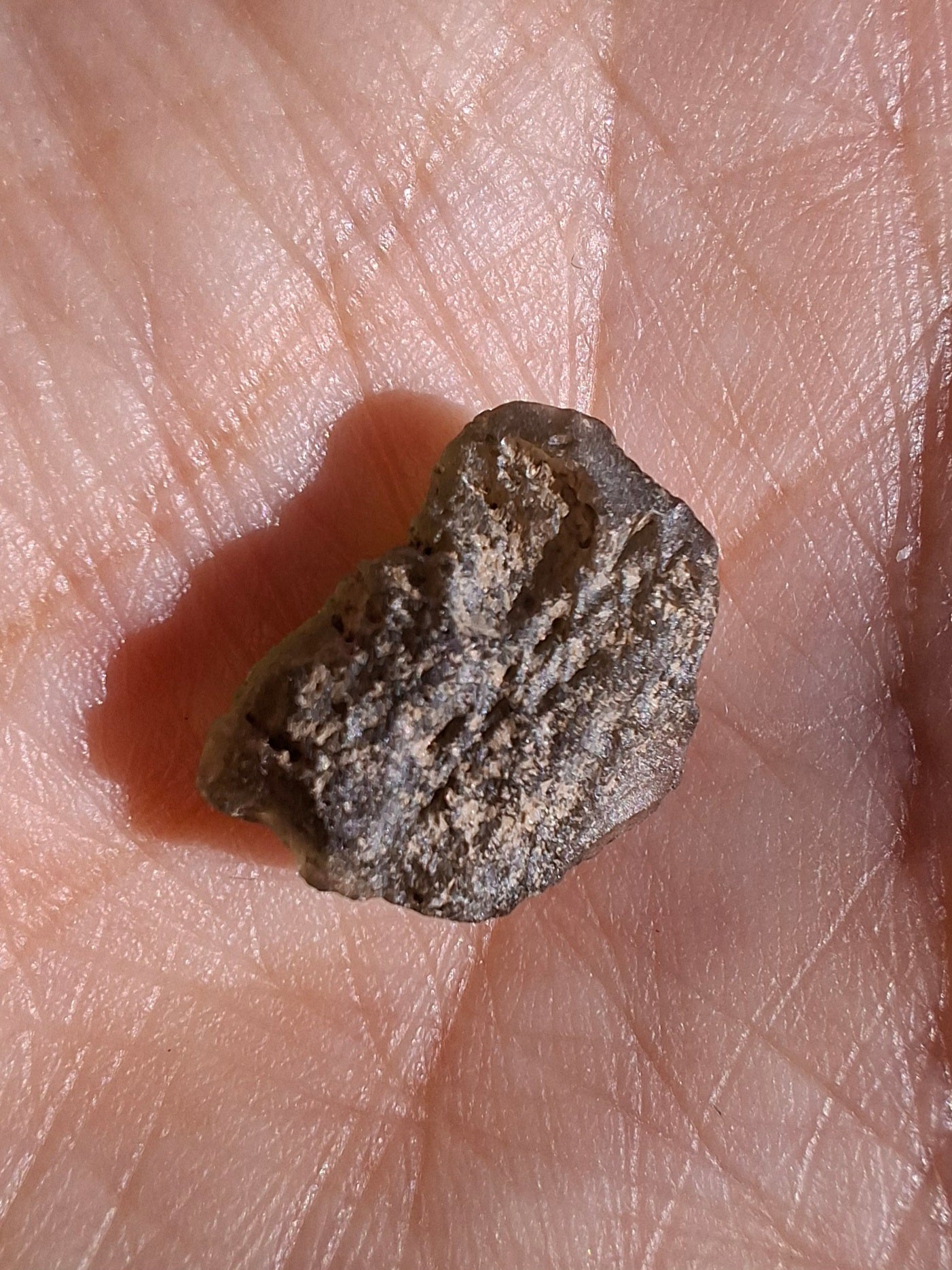 Moldavite Piece, 1.16g, Tektite (Ref: 1461)