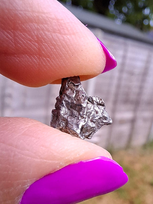 Campo del Cielo, 0.37g, Nickel Iron Meteorite (Ref: C13)