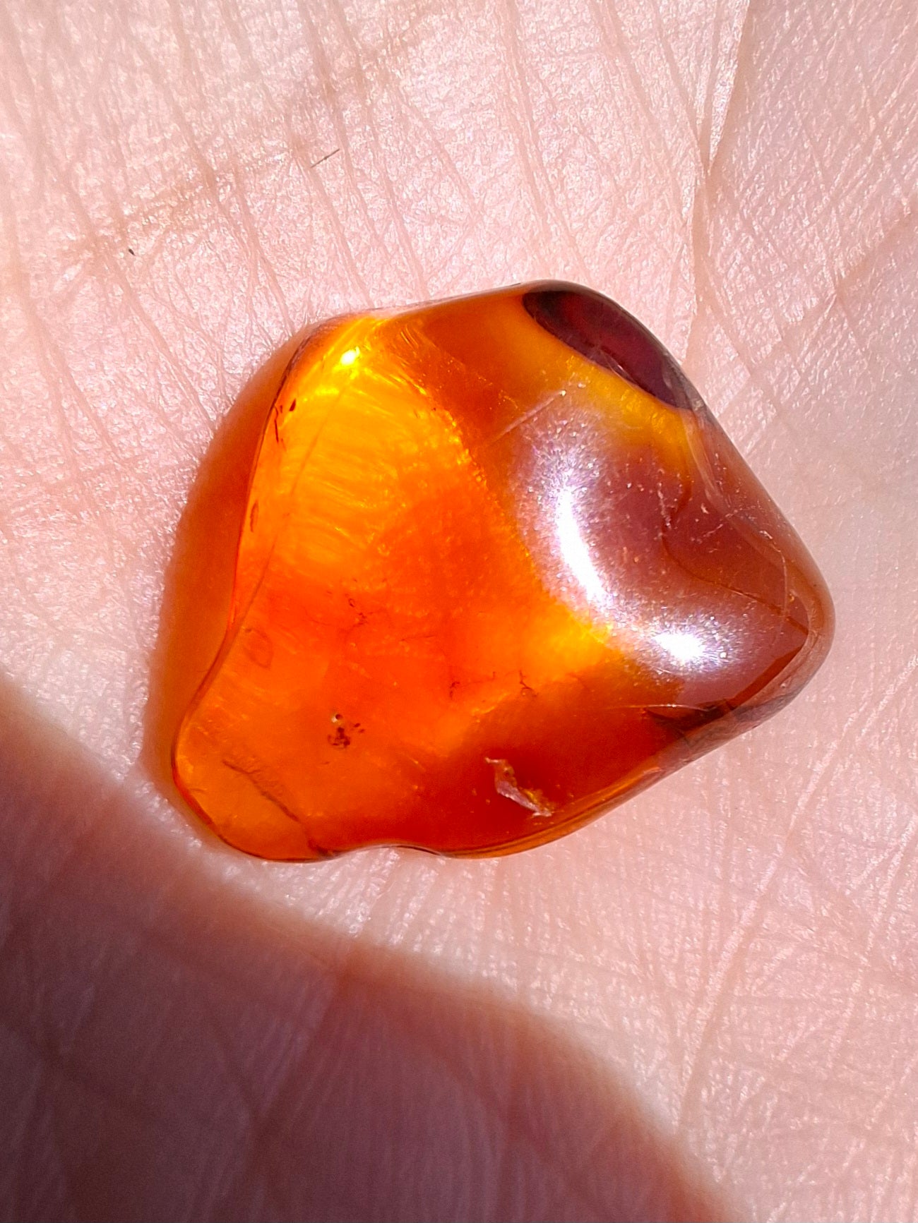 Baltic Amber, 0.88g, Fossil (Ref: A254)