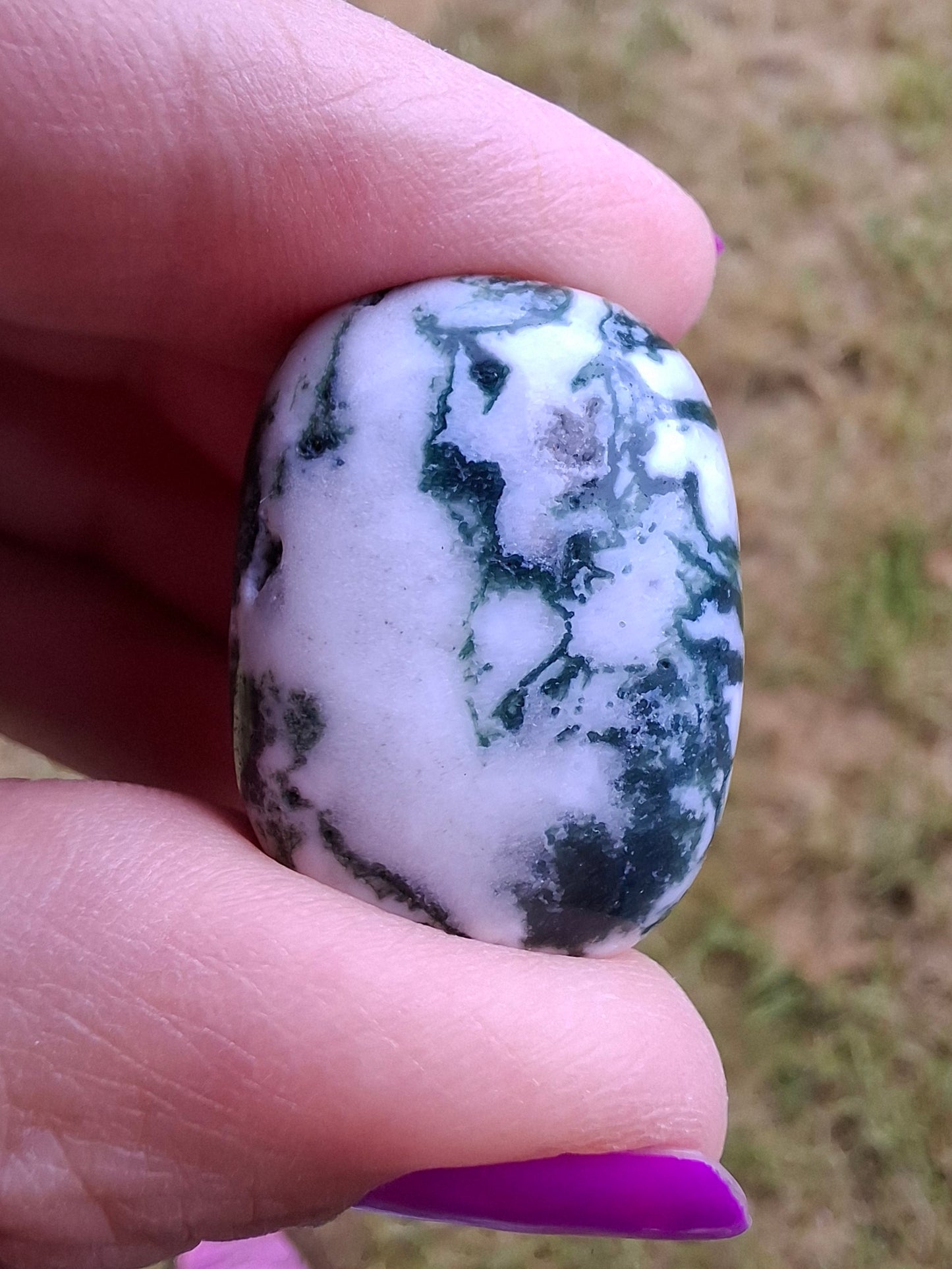 Tree Agate, Tumble Stone, Crystal (Ref: T5)