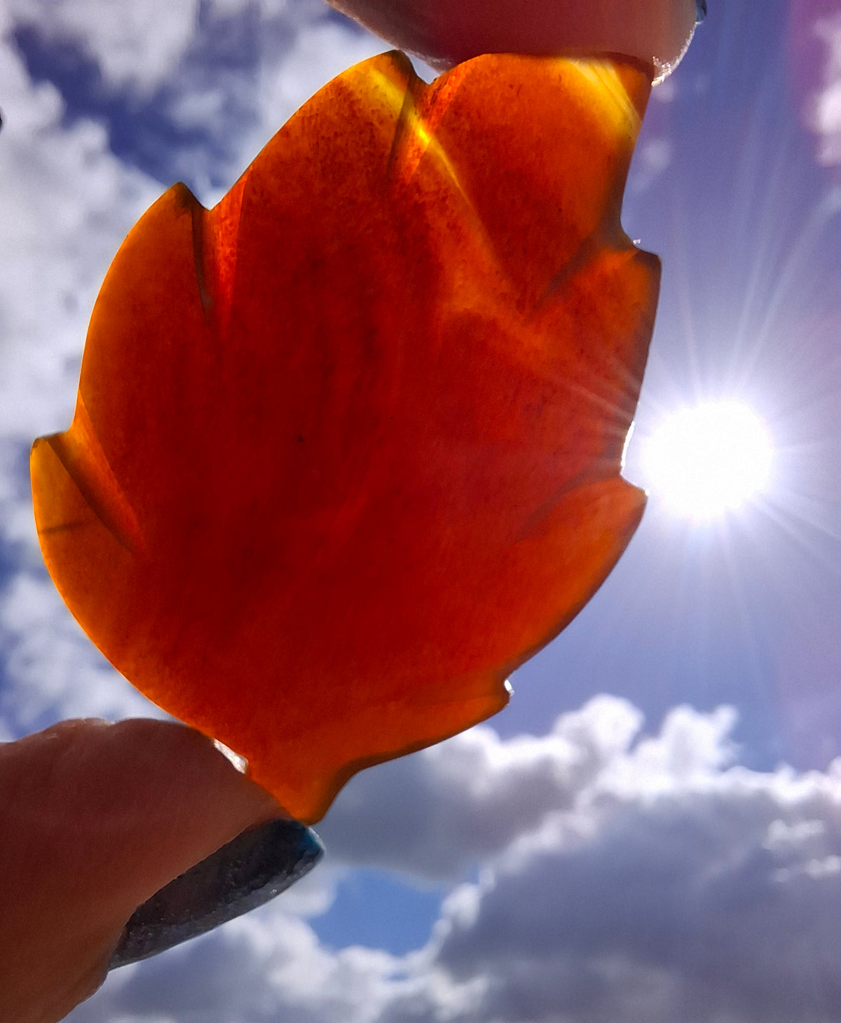 Red Amber Leaf Carving, 8.45g, Fossil (Ref: Leaf1)