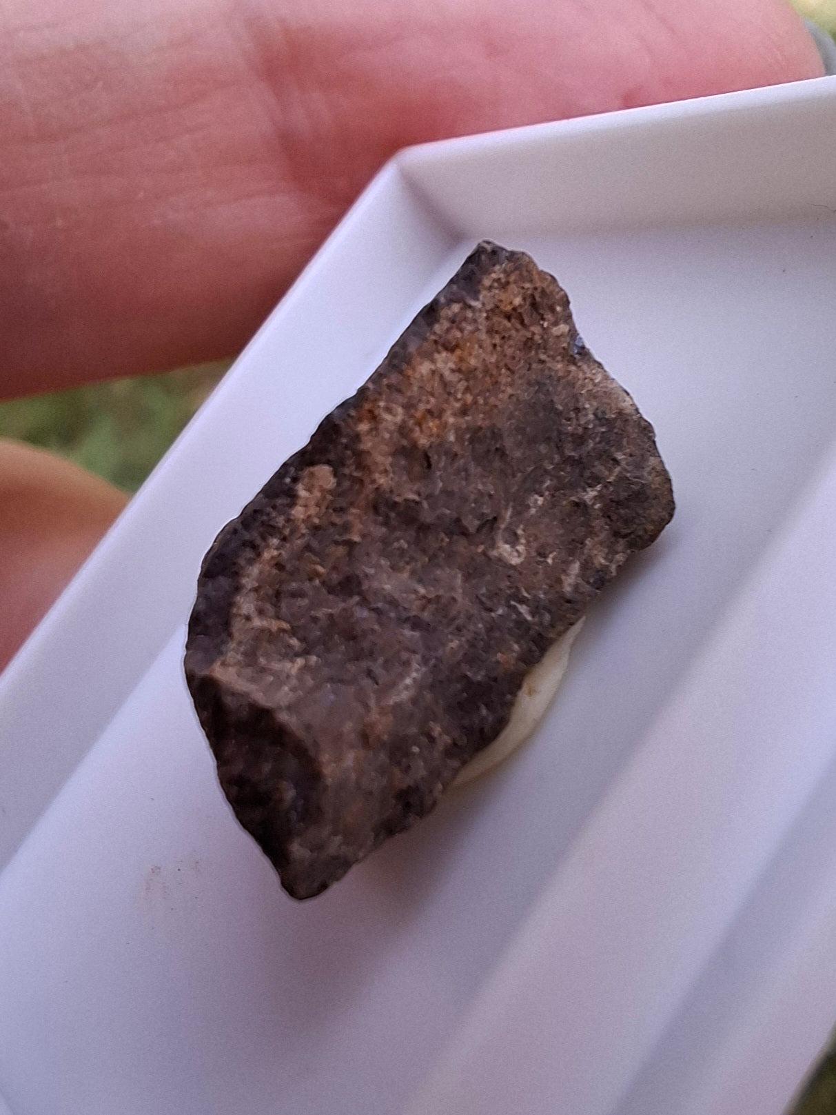 Chondrite, Meteorite (Ref: CM8)
