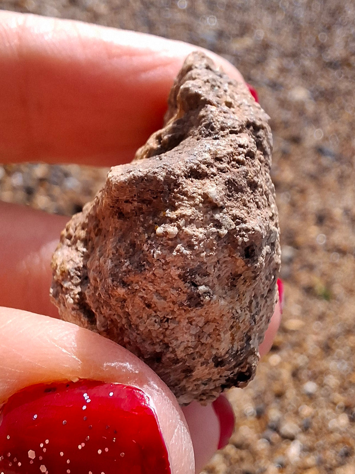 Sauropod Dinosaur Coprolite, 12.82g, Fossil (Ref: DP1)