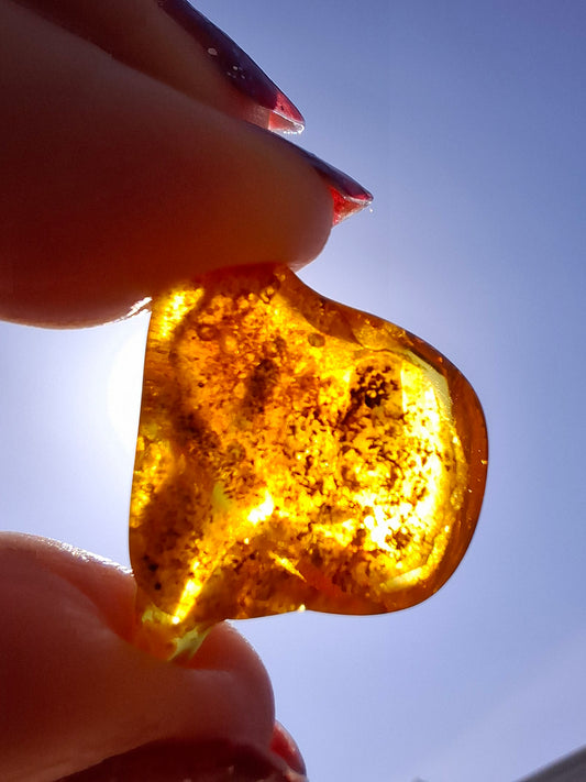 Baltic Amber, 1.58g, Fossil (Ref: A231)