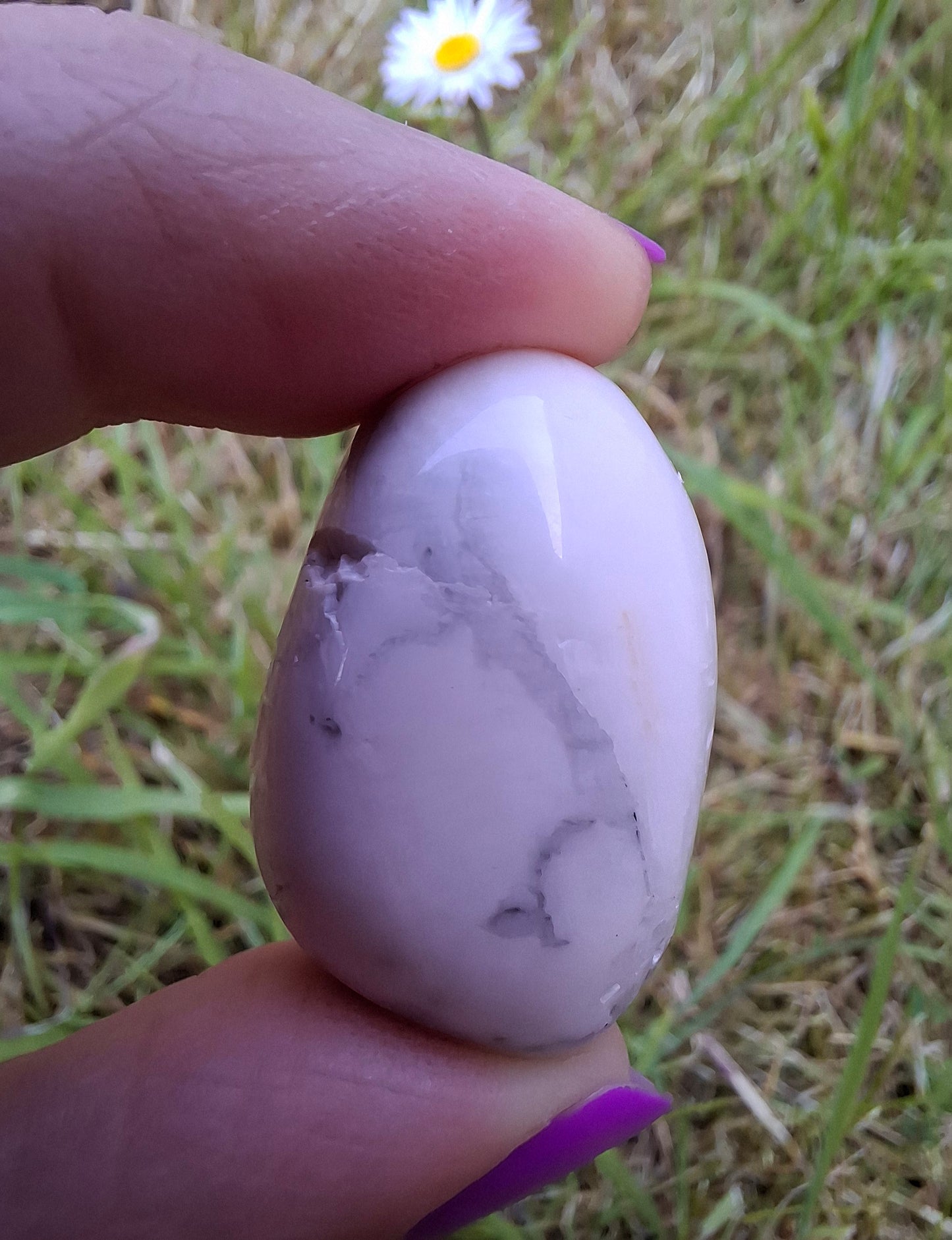 Howlite, Tumble Stone, Crystal (Ref: T41)