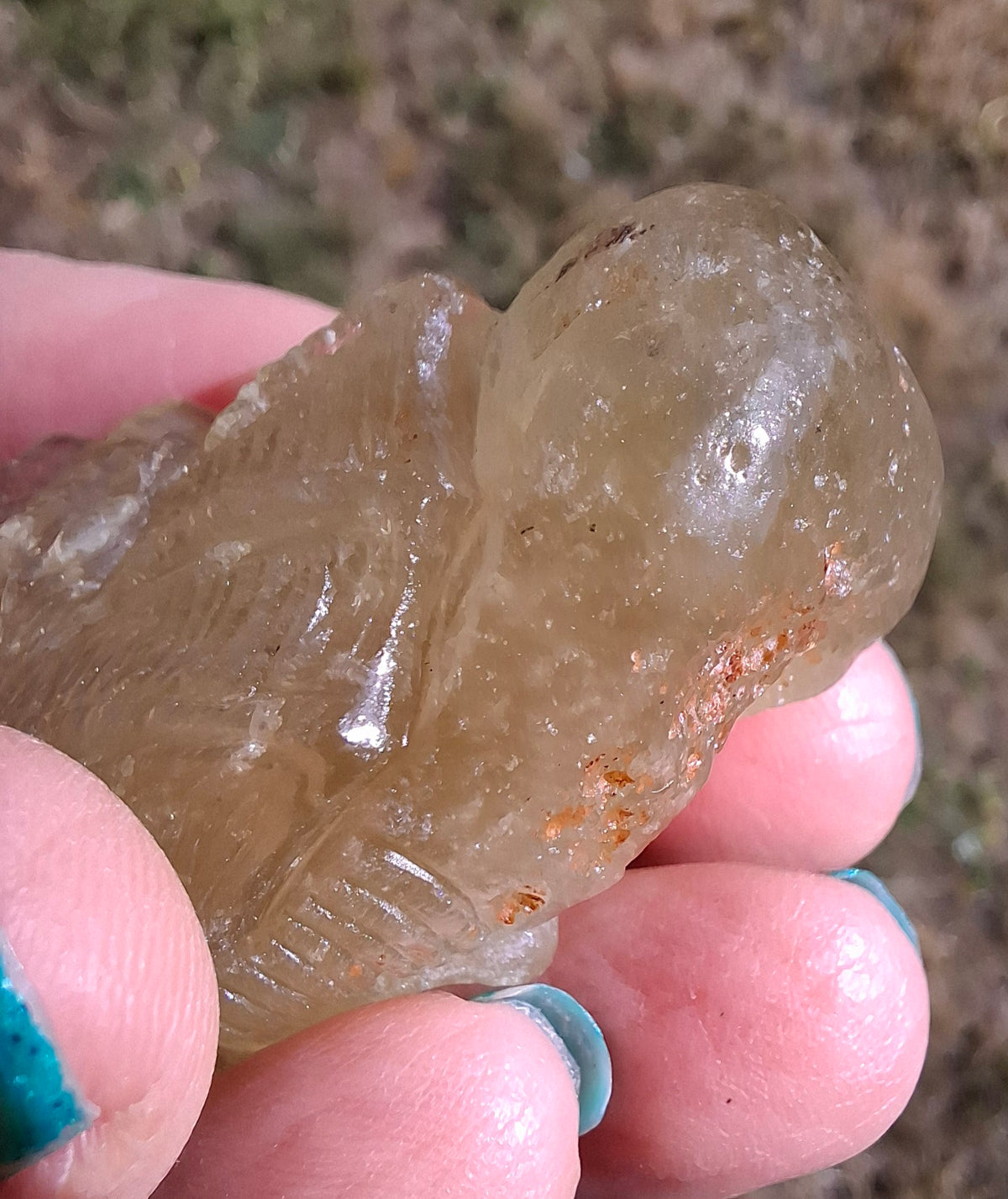 Libyan Desert Glass DRAGON HEAD carving, 48.11g, Tektite (Ref: Dragon4)