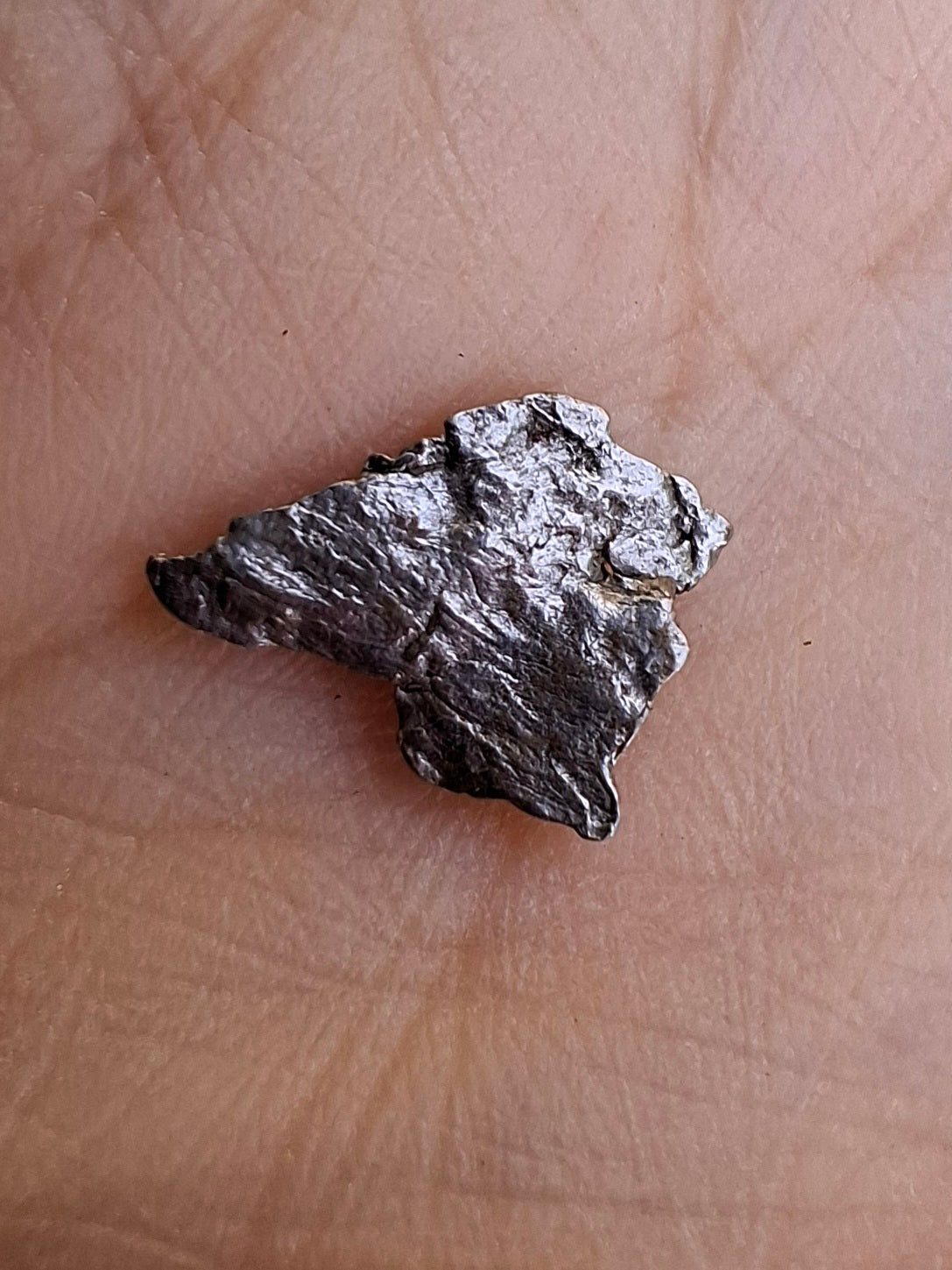 Campo del Cielo, 0.37g, Nickel Iron Meteorite (Ref: C13)