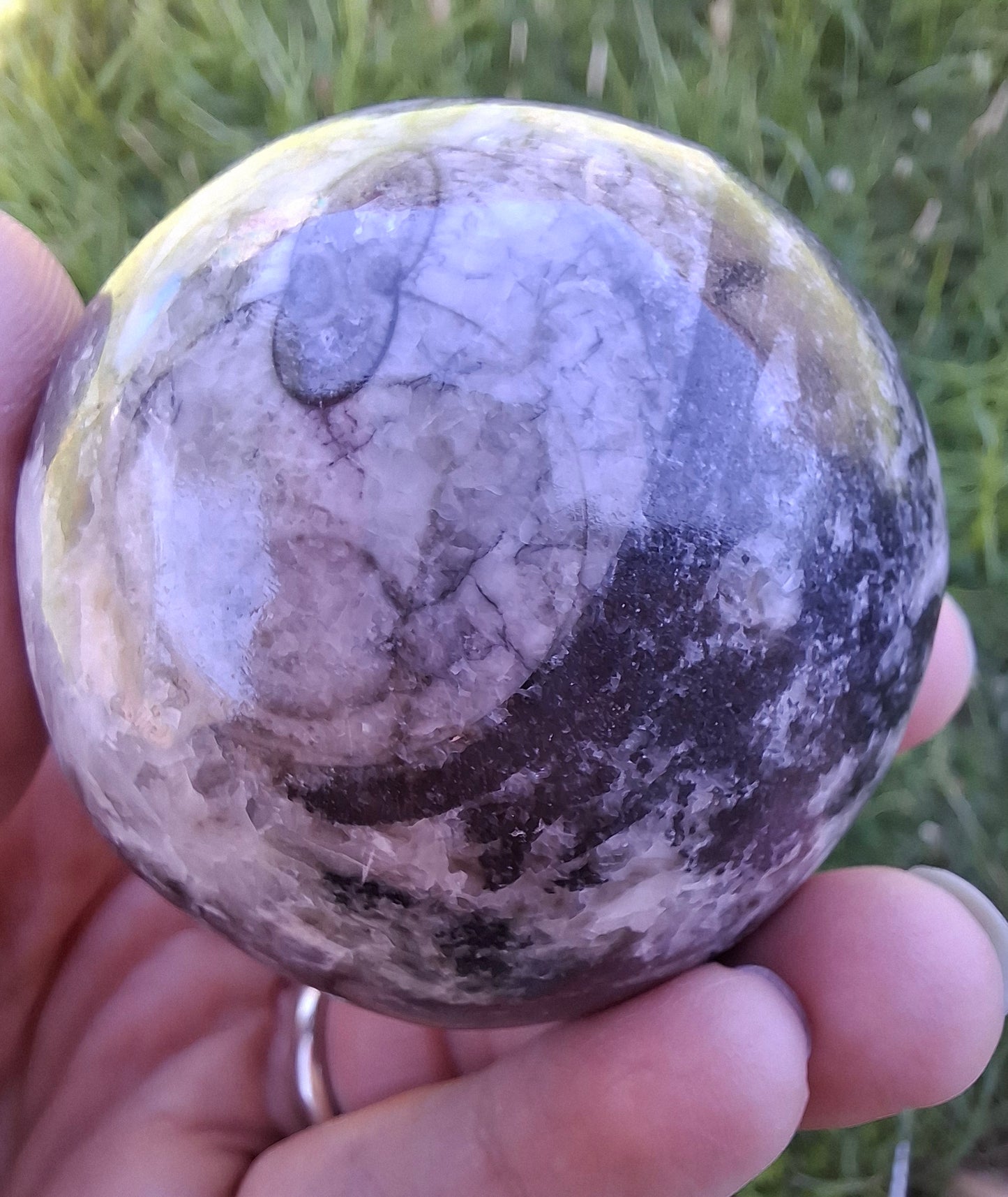 Orthoceras Sphere, Fossil (Ref: OS2)