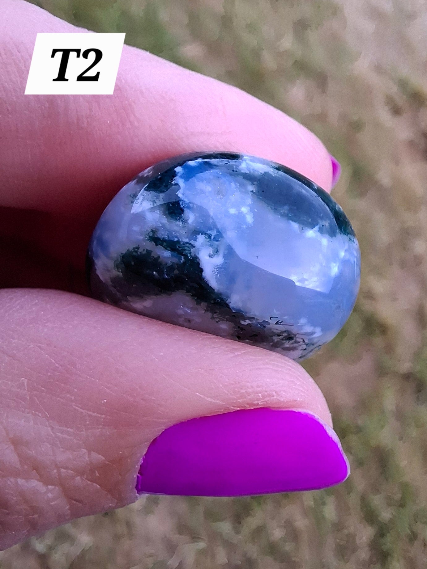 Tree Agate, Tumble Stone, Crystal (Ref: T2)