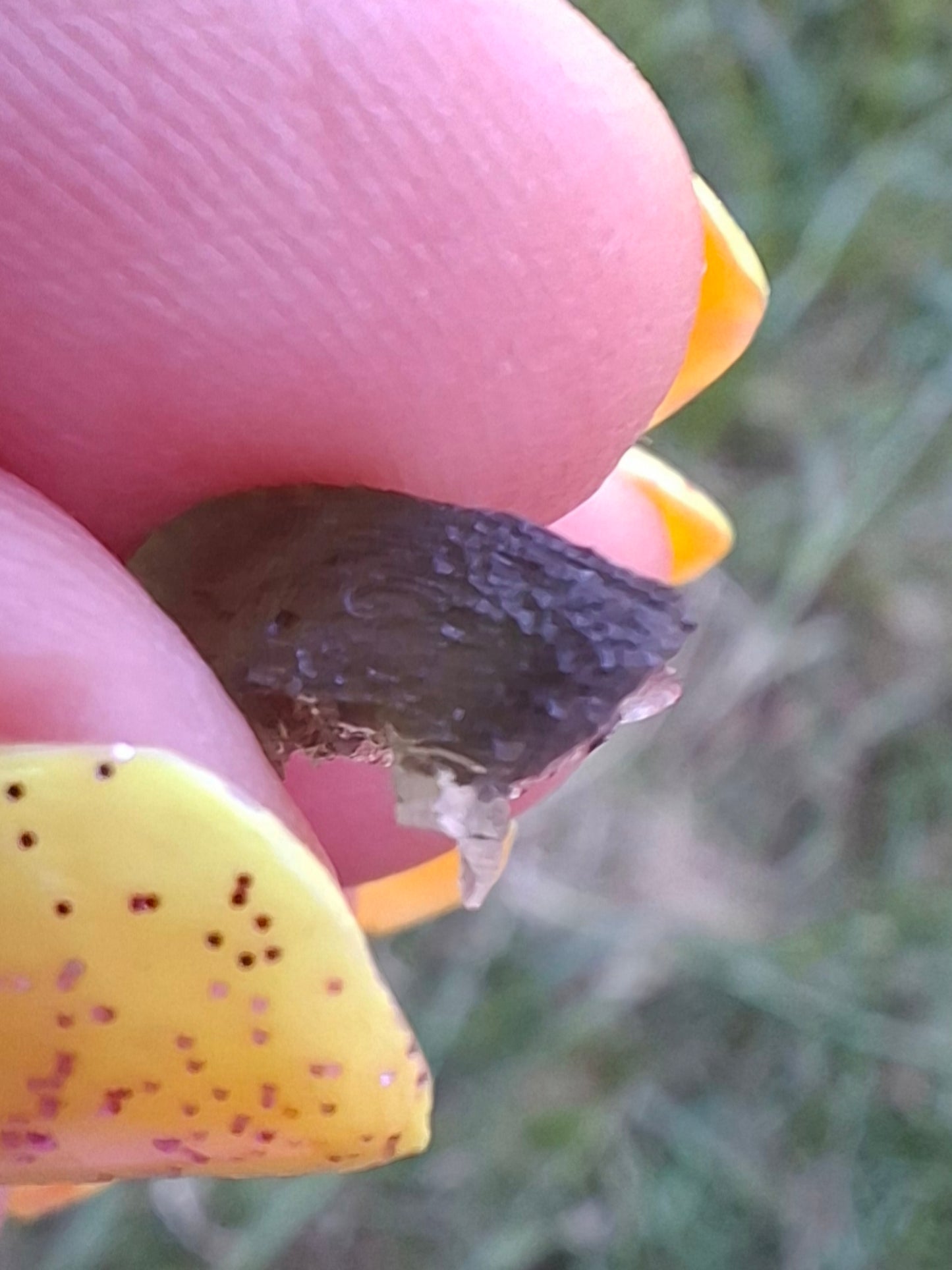 Moldavite small Piece, 0.37g, Tektite (Ref: 1478)