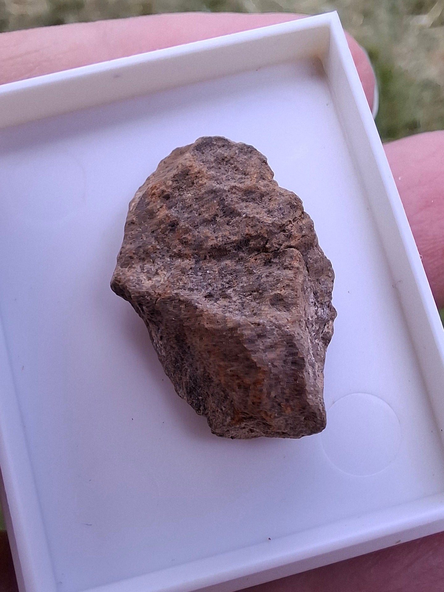 Chondrite, Meteorite (Ref: CM7)