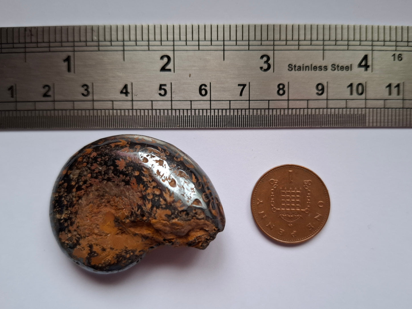 Hematite Ammonite, 21.29g, Fossil (Ref: HA1)