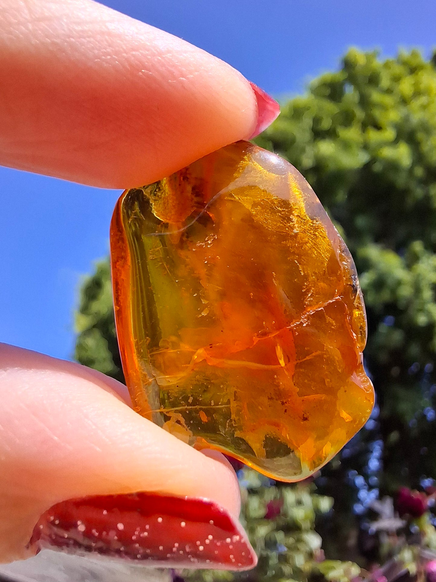 Baltic Amber, 2.09g, Fossil (Ref: A54)