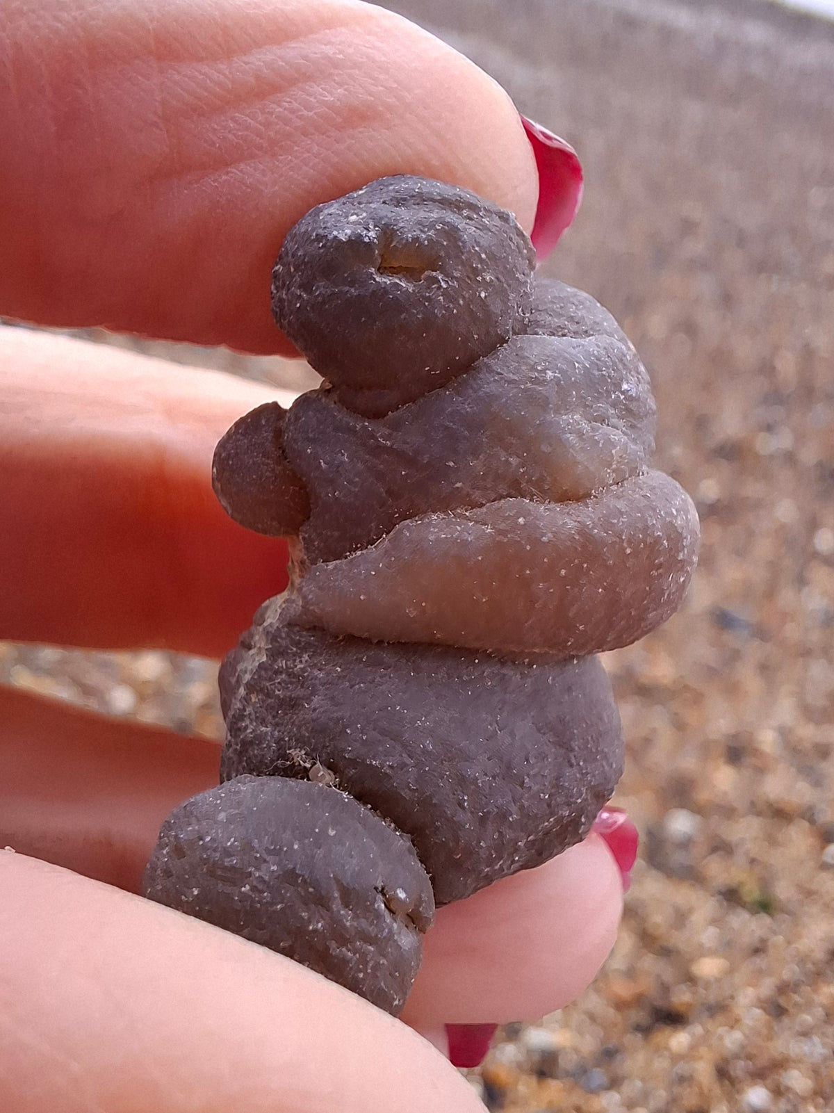 Nebula Chalcedony, 13.55g, Fossil (Ref: NC8)