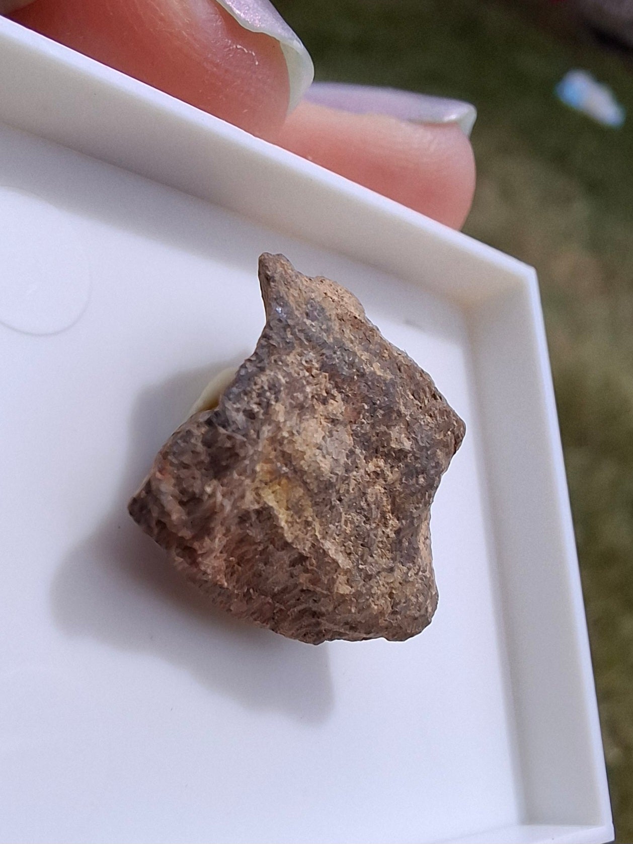 Chondrite, Meteorite (Ref: CM6)