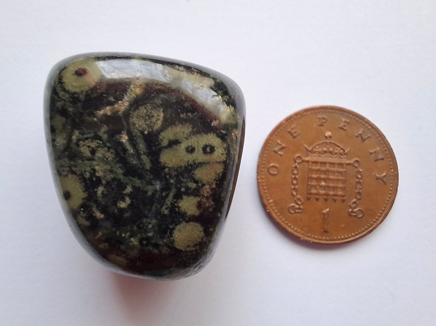 Kambaba Jasper, Tumble Stone, Crystal (Ref: T163)
