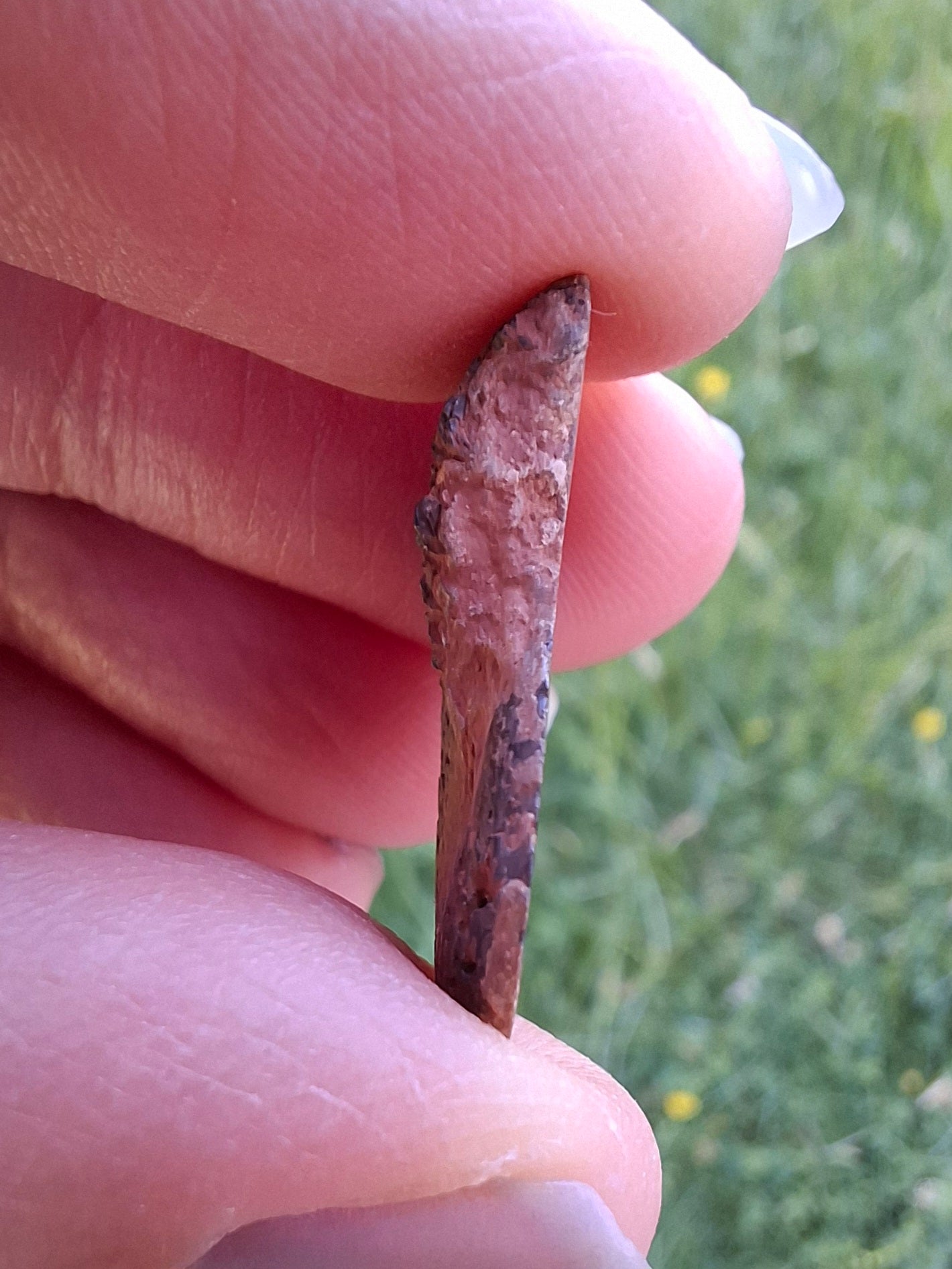 Small Haematite Ammonite HALF, 2.55g, Fossil (Ref: MA8)