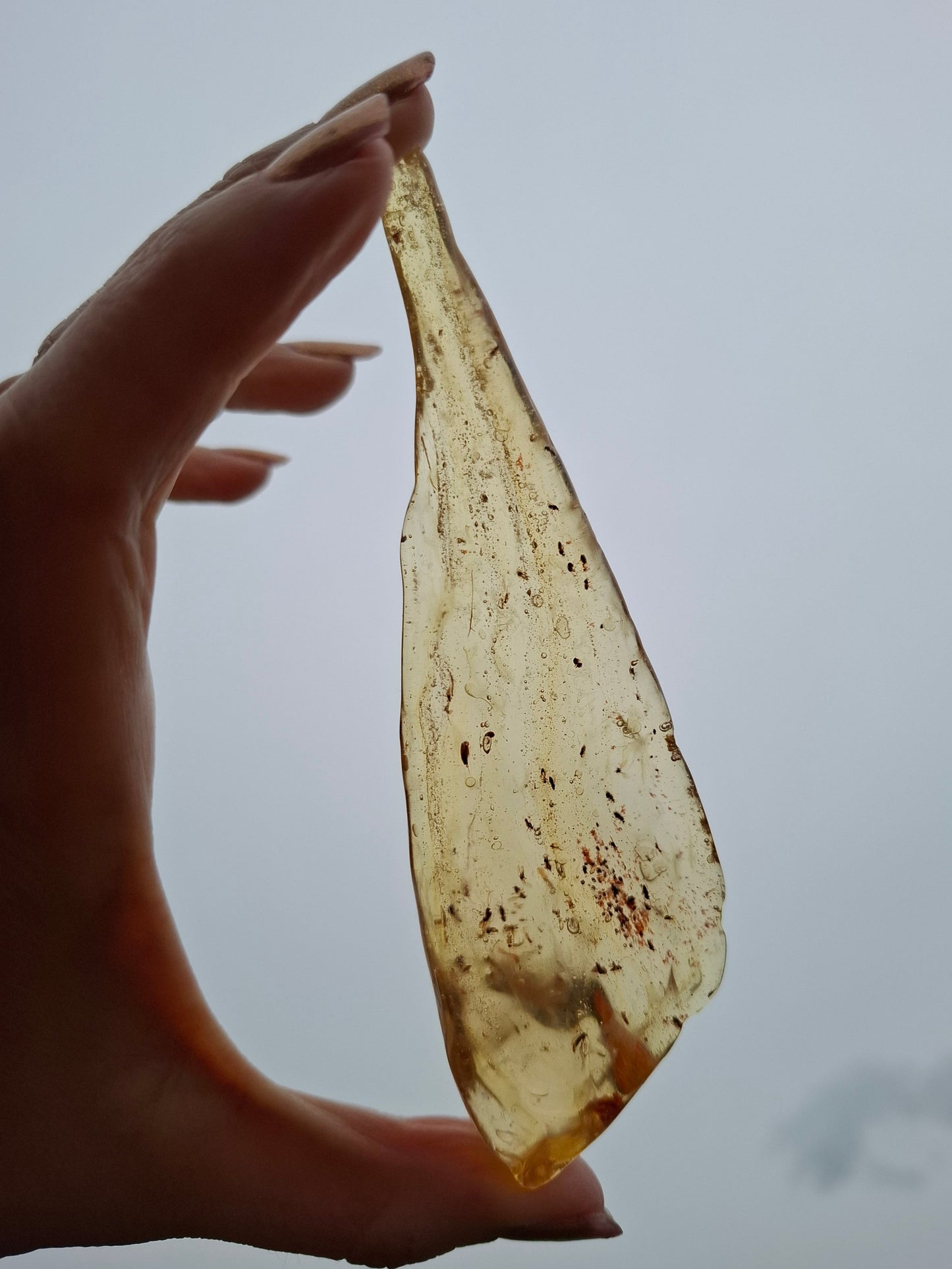 Copal Young Amber with INSECTS inside, 28.43g, Fossil (Ref: CA10)