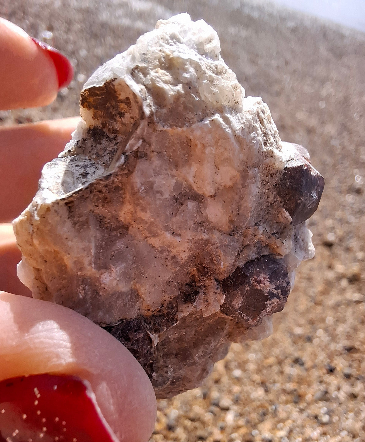 (Dig your own) Garnet in Matrix, Crystal (Ref: RG6)