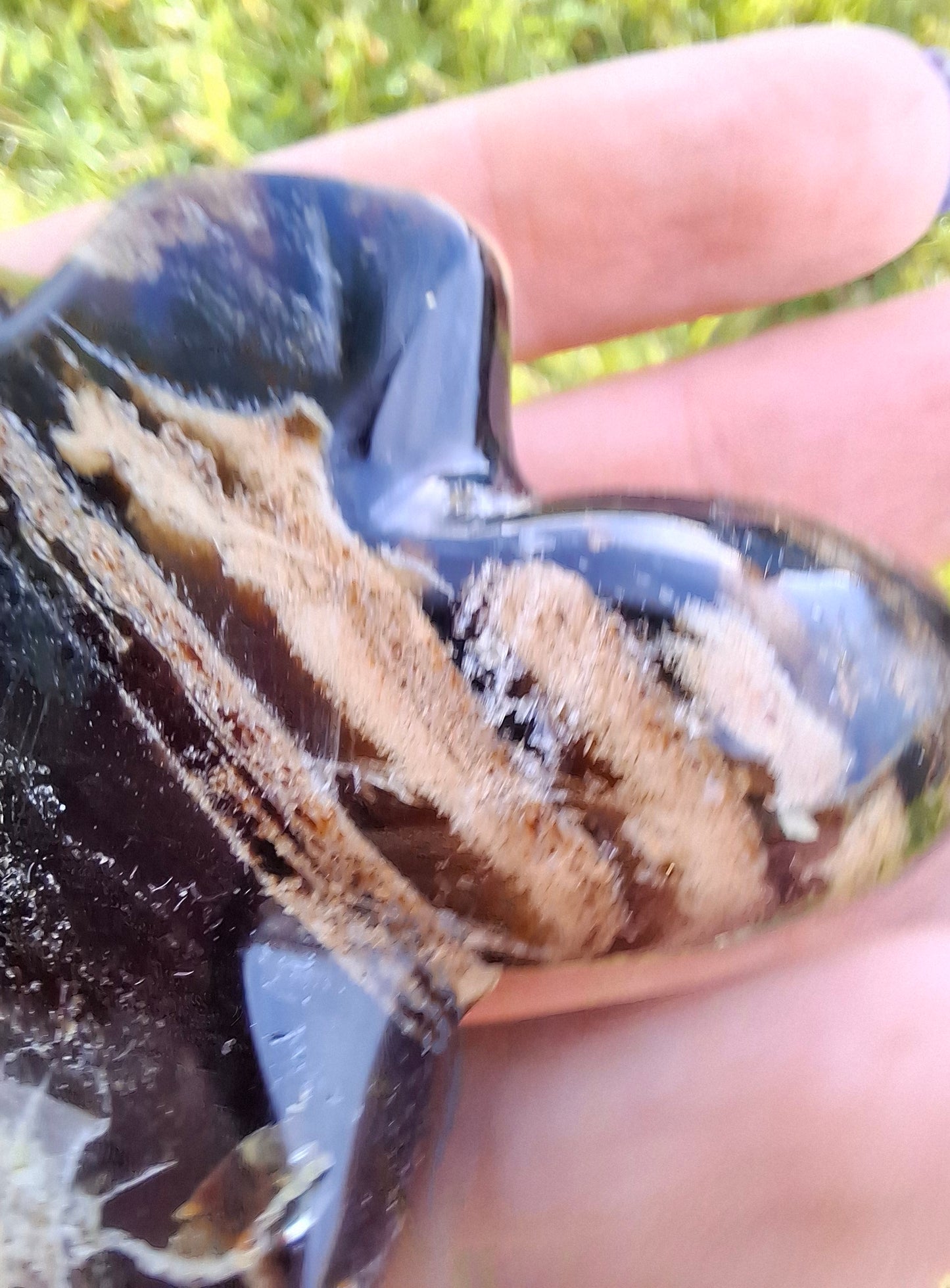 Red Amber Turtle, 50.00g, Carving, Fossil (Ref: TT6)