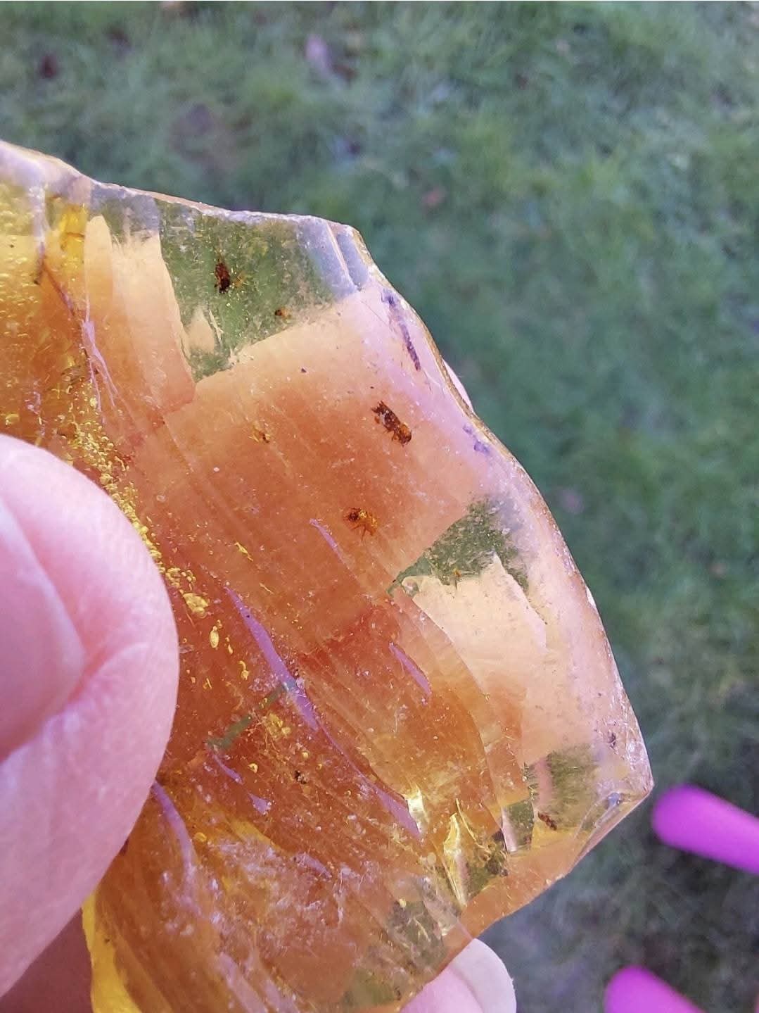 Copal Young Amber with INSECTS inside, 6.42g, Fossil (Ref: CA38)