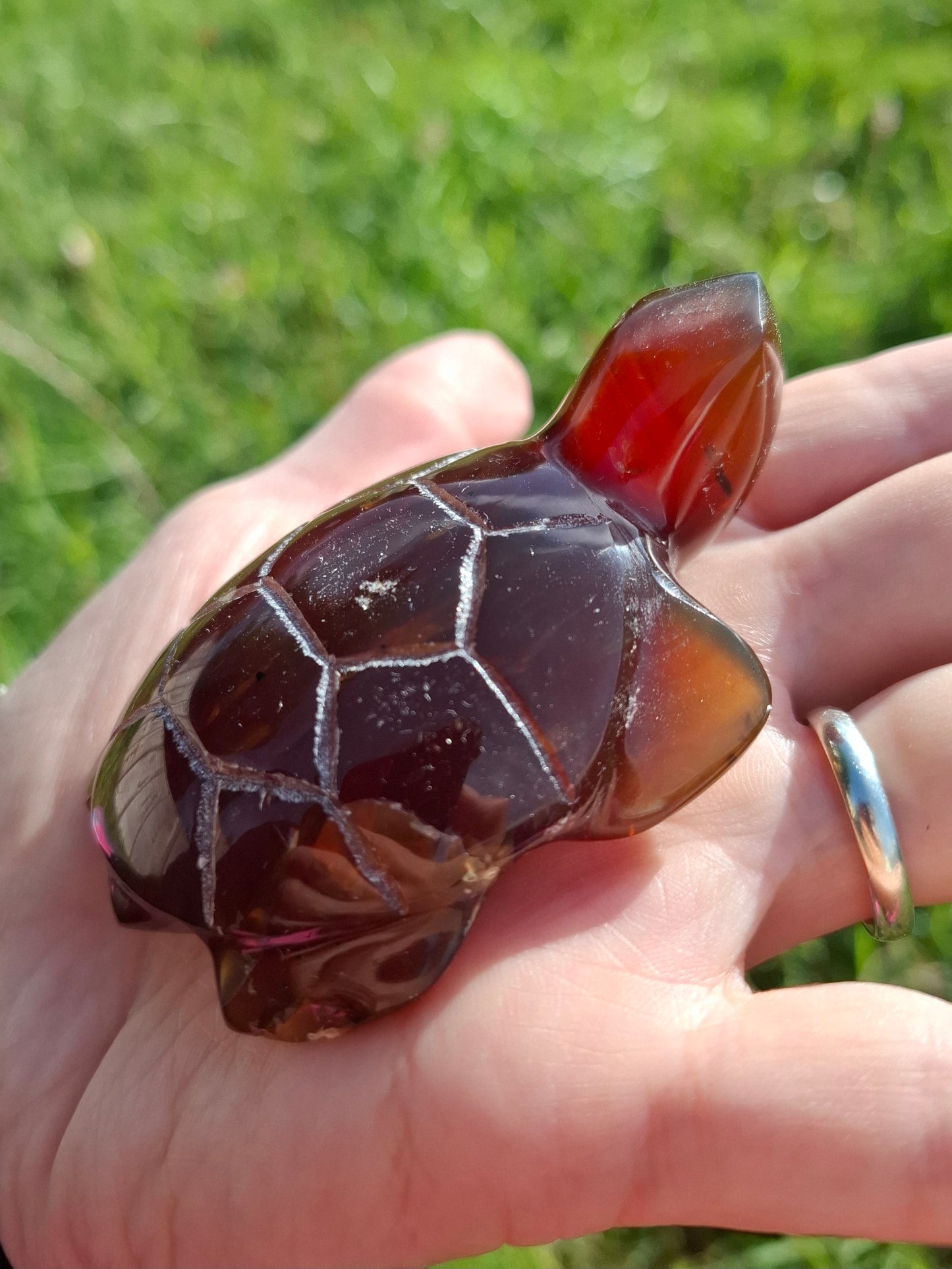 Red Amber Turtle, 49.15g, Carving, Fossil (Ref: TT1)