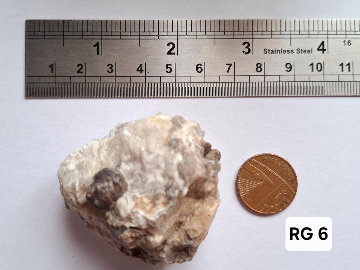 (Dig your own) Garnet in Matrix, Crystal (Ref: RG6)
