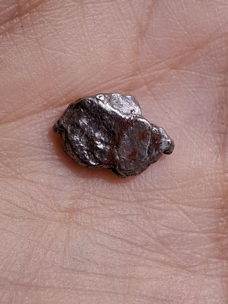 Campo del Cielo, 0.96g, Nickel Iron Meteorite (Ref: C7)