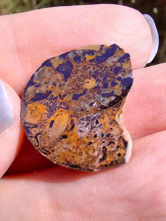 Small Haematite Ammonite HALF, 2.59g, Fossil (Ref: MA7)