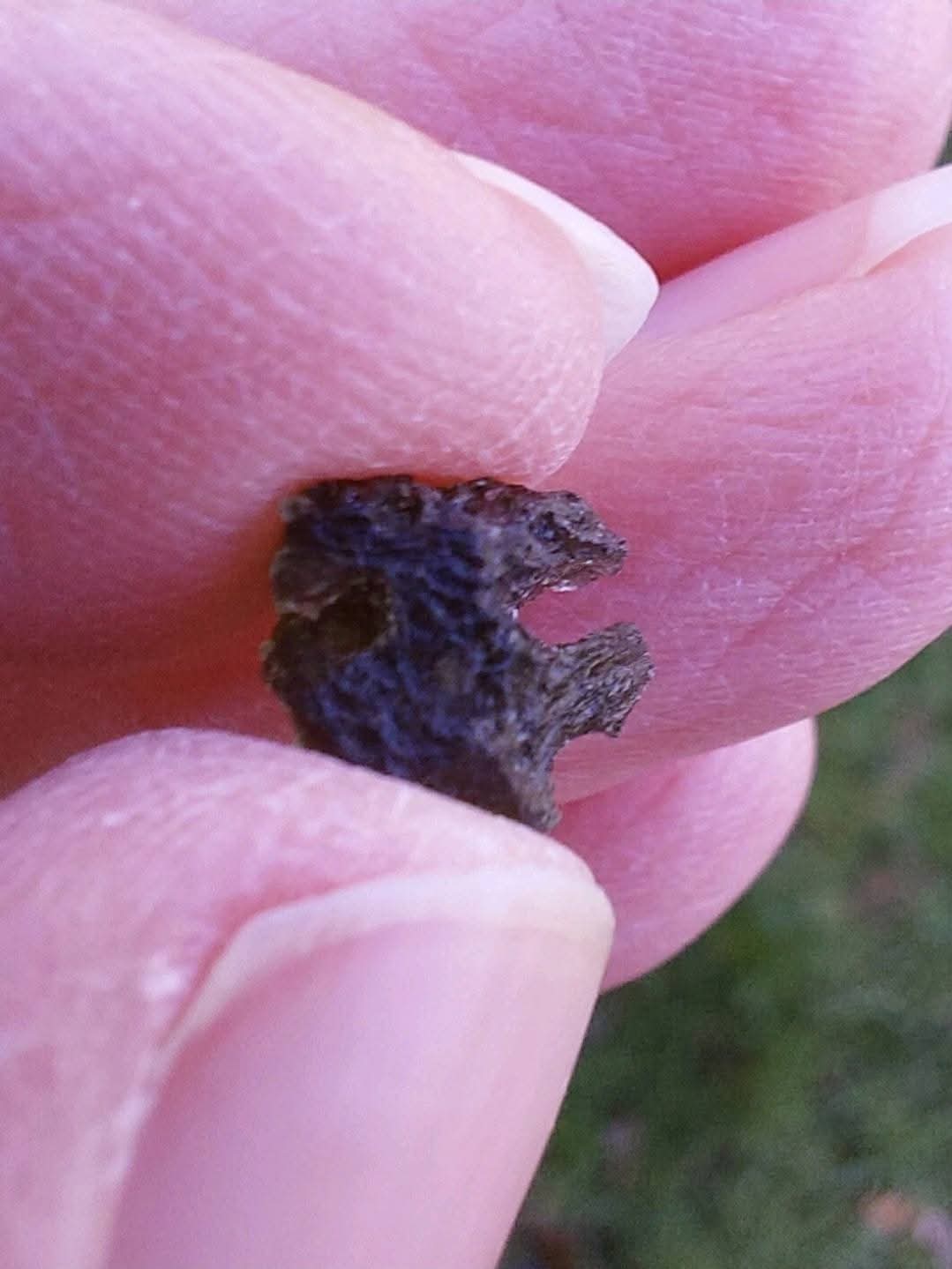 Moldavite Piece, 0.66g, Tektite (Ref: 1010)