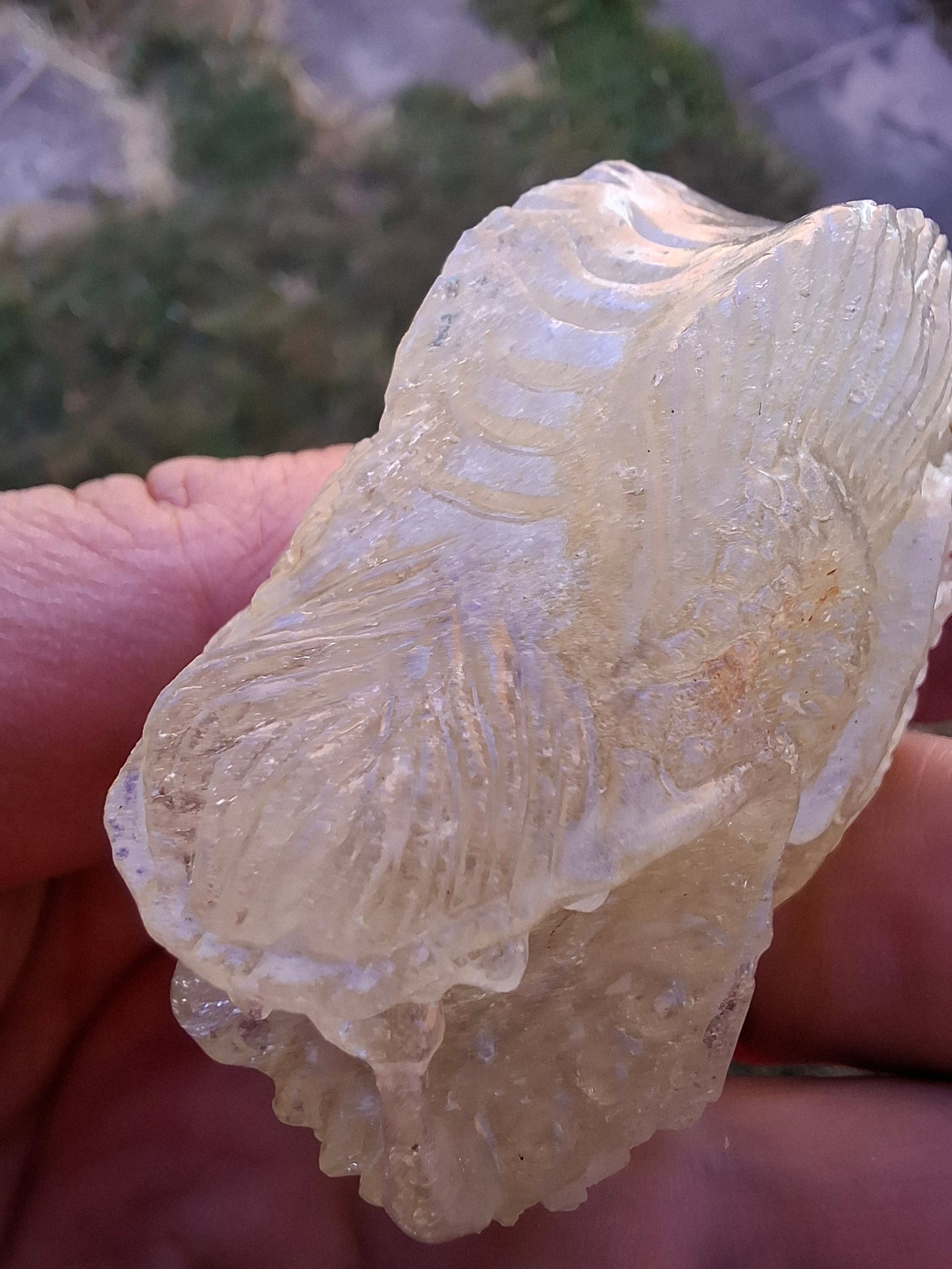 Libyan Desert Glass DRAGON HEAD Carving, 75.84g, Tektite (Ref: Dragon1)