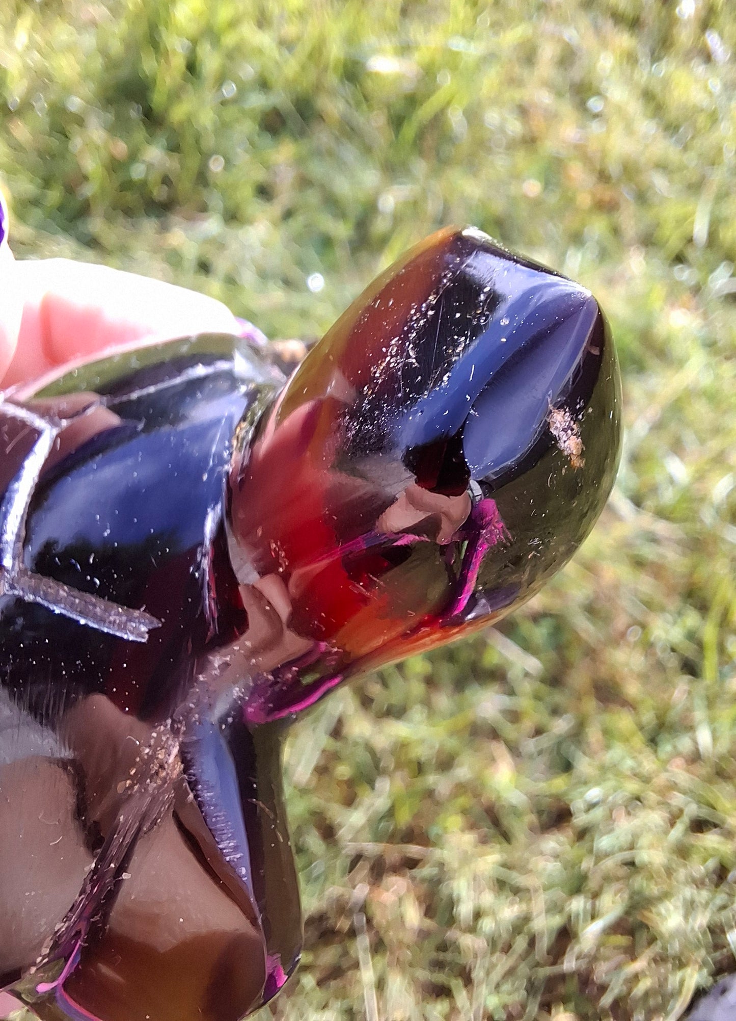 Red Amber Turtle, 59.07g, Carving, Fossil (Ref: TT5)