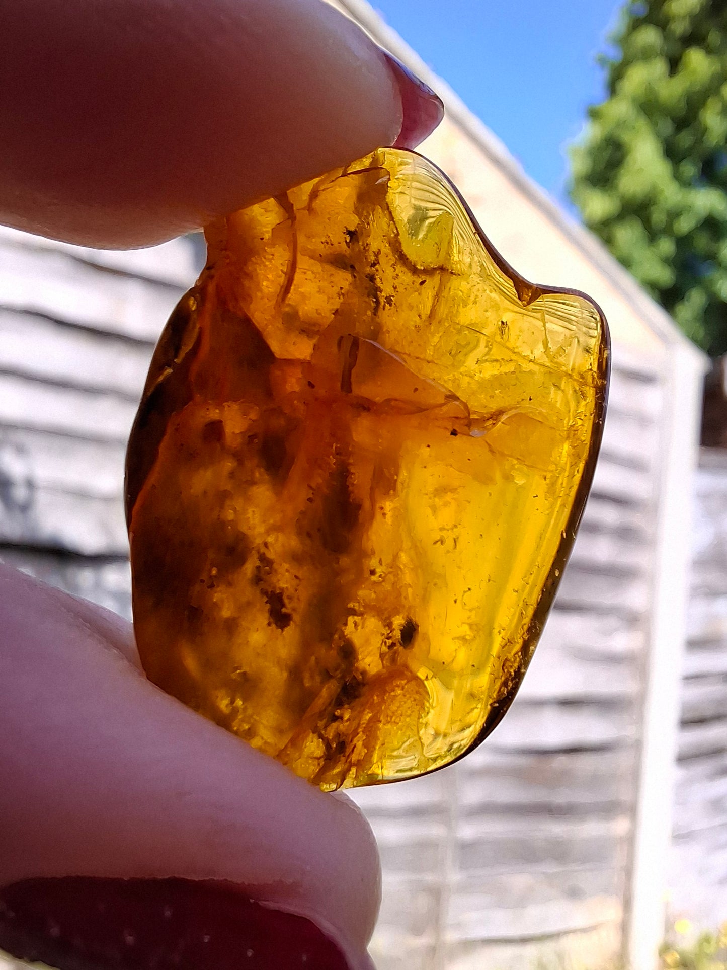 Baltic Amber, 2.09g, Fossil (Ref: A54)