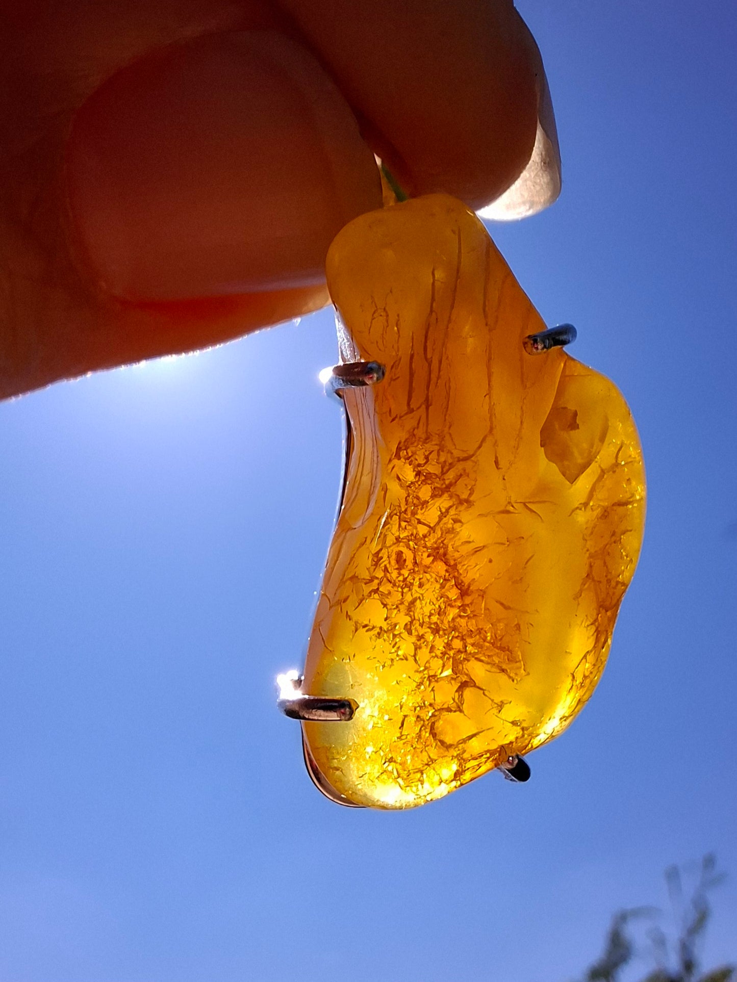 Baltic Amber Pendant, 925 Silver, Fossil (Ref: AP7)
