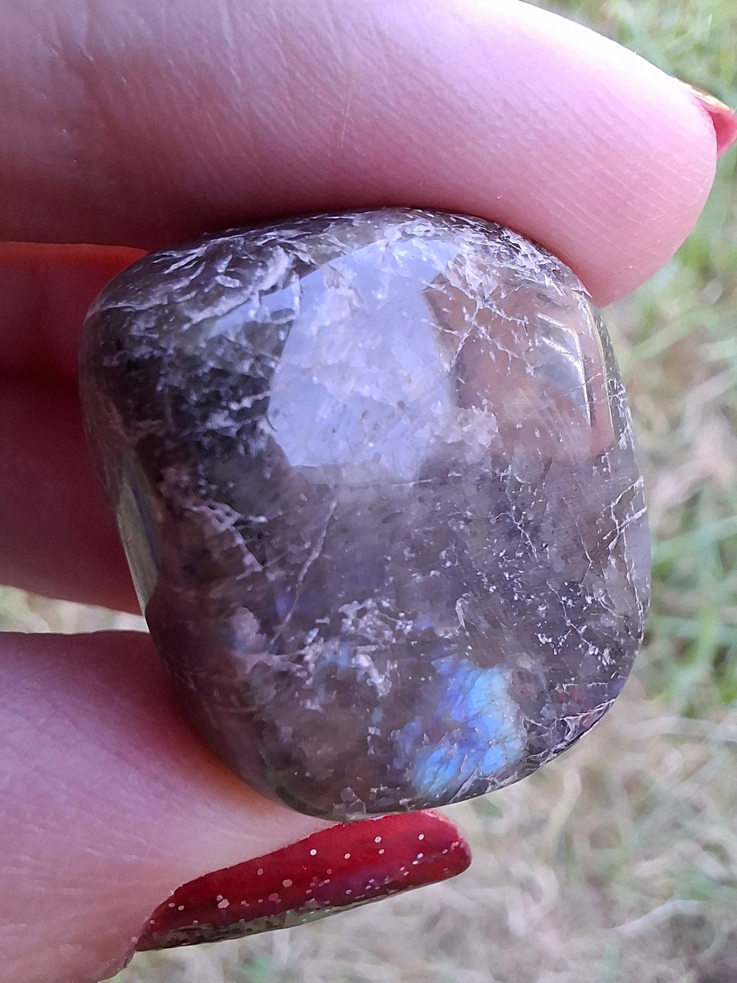 Labradorite, Tumble Stone, Crystal (Ref: T211)