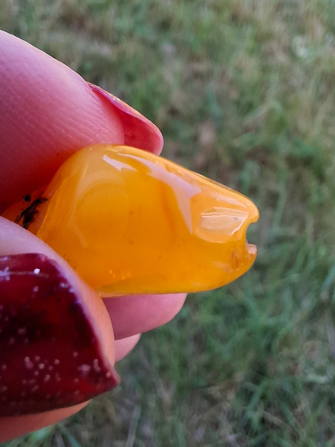 Baltic Amber, 1.74g, Fossil (Ref: A228)