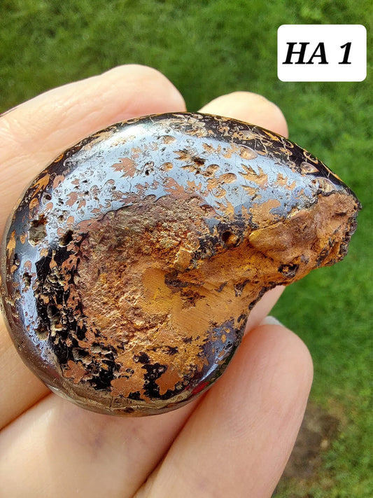 Hematite Ammonite, 21.29g, Fossil (Ref: HA1)