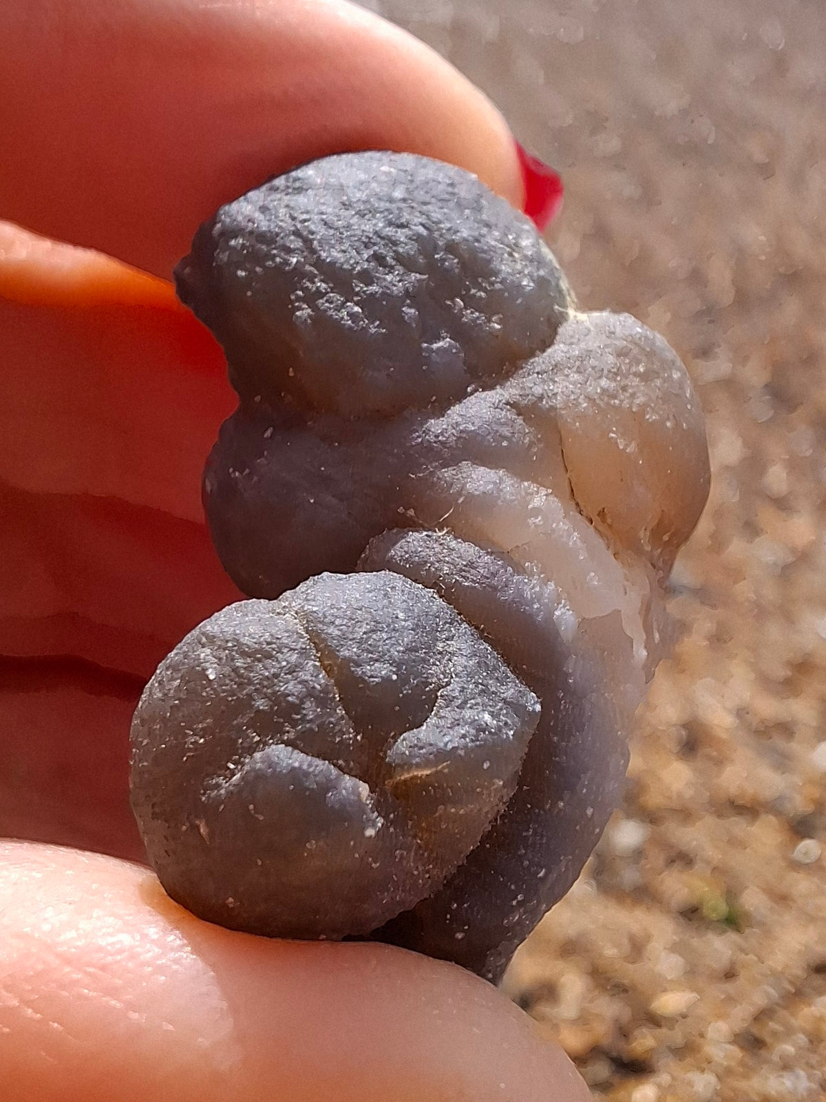 Nebula Chalcedony, 16.91g, Fossil (Ref: NC1)