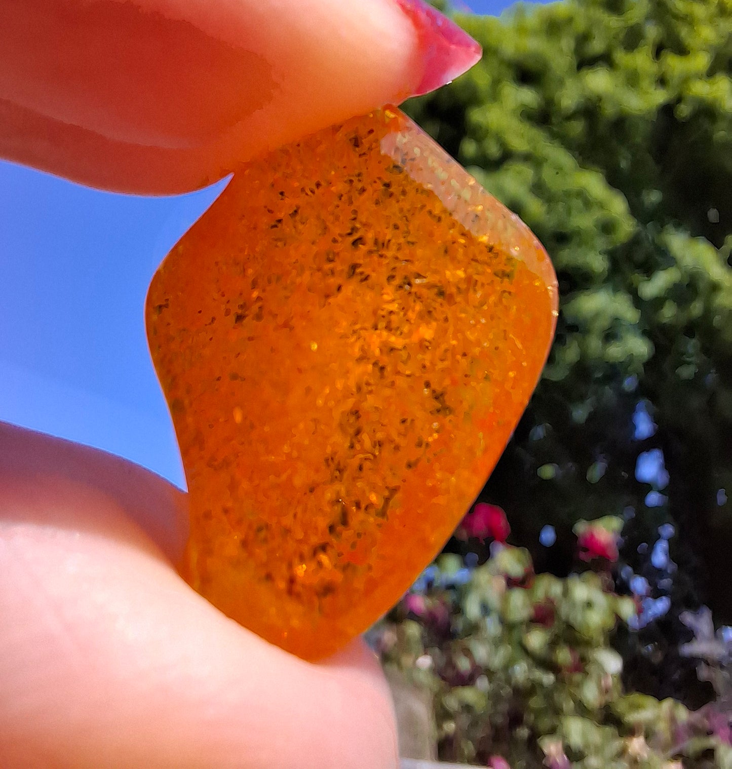 Baltic Amber, 1.37g, Fossil (Ref: A225)